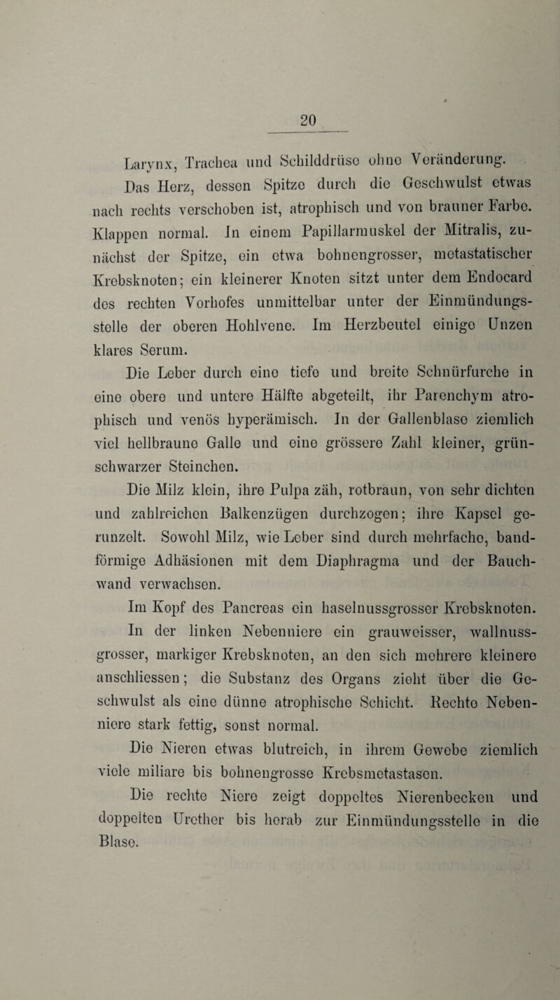 Larynx, Trachea und Schilddrüse ohne Veränderung. Das Herz, dessen Spitze durch die Geschwulst etwas nach rechts verschoben ist, atrophisch und von brauner Farbe. Klappen normal. In einem Papillarmuskel der Mitralis, zu¬ nächst der Spitze, ein etwa bohnengrosser, metastatischer Krebsknoten; ein kleinerer Knoten sitzt unter dem Endocard des rechten Vorhofes unmittelbar unter der Einmündungs¬ stelle der oberen Hohlvene. Im Herzbeutel einige Unzen klares Serum. Die Leber durch eine tiefe und breite Schnürfurche in eine obere und untere Hälfte abgeteilt, ihr Parenchym atro¬ phisch und venös hyperämisch. In der Gallenblase ziemlich viel hellbraune Galle und eine grössere Zahl kleiner, grün¬ schwarzer Steinchen. Die Milz klein, ihre Pulpa zäh, rotbraun, von sehr dichten und zahlreichen Balkenzügen durchzogen; ihre Kapsel ge¬ runzelt. Sowohl Milz, wie Leber sind durch mehrfache, band¬ förmige Adhäsionen mit dem Diaphragma und der Bauch¬ wand verwachsen. Im Kopf des Pancreas ein haselnussgrosser Krebsknoten. In der linken Nebenniere ein grauweisser, wallnuss¬ grosser, markiger Krebsknoten, an den sich mehrere kleinere anschliessen; die Substanz des Organs zieht über die Ge¬ schwulst als eine dünne atrophische Schicht. Hechte Neben¬ niere stark fettig, sonst normal. Die Nieren etwas blutreich, in ihrem Gewebe ziemlich viele miliare bis bohnengrosse Krebsmetastasen. Die rechte Niere zeigt doppeltes Nierenbecken und doppelten Urether bis herab zur Einmündungsstelle in die Blase.