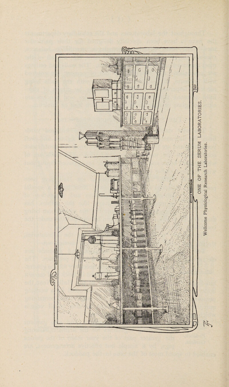 \ ONE OF THE SERUM LABORATORIES.