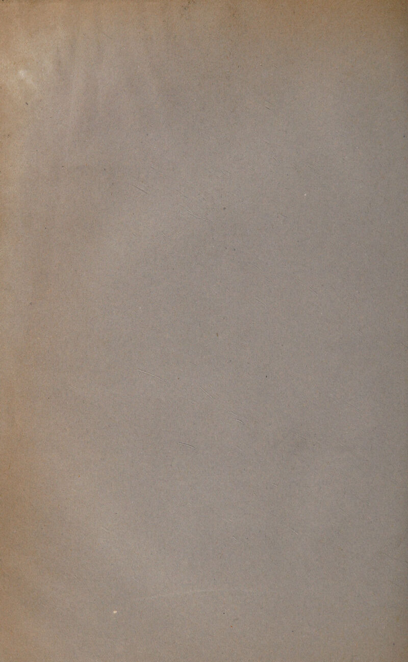 7 a