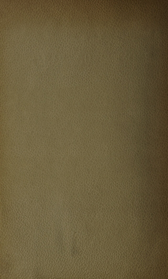 digitised image 2