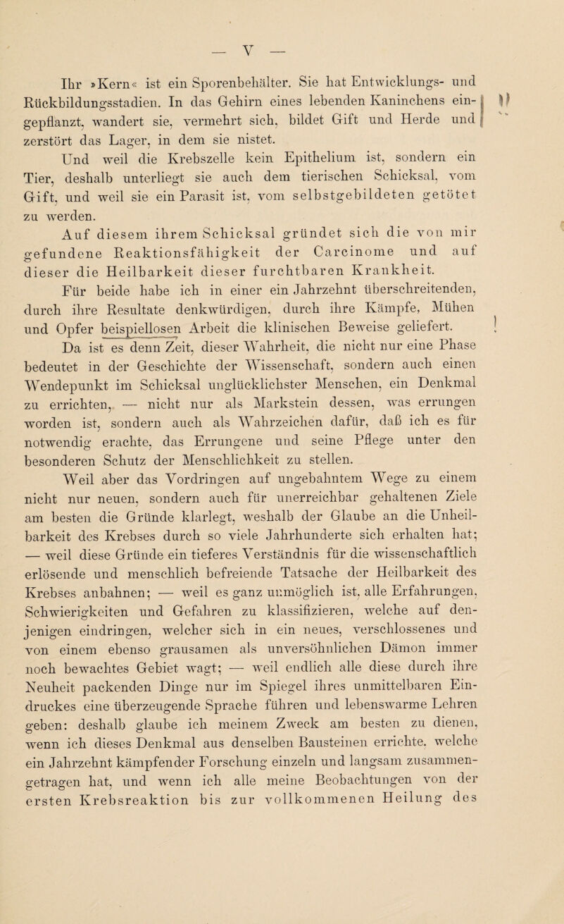 Y Ihr »Kern« ist ein Sporenbeliälter. Sie hat Entwicklungs- und Rückbildungsstadien. In das Gehirn eines lebenden Kaninchens ein- | ) I gepflanzt, wandert sie, vermehrt sich, bildet Gift und Herde und | zerstört das Lager, in dem sie nistet. Und weil die Krebszelle kein Epitkelium ist, sondern ein Tier, deshalb unterliegt sie auch dem tierischen Schicksal, vom Gift, und weil sie ein Parasit ist, vom selbstgebildeten getötet zu werden. Auf diesem ihrem Schicksal gründet sich die von mir gefundene Reaktionsfähigkeit der Carcinome und auf dieser die Heilbarkeit dieser furchtbaren Krankheit. Für beide habe ich in einer ein Jahrzehnt überschreitenden, durch ihre Resultate denkwürdigen, durch ihre Kämpfe, Mühen und Opfer beispiellosen Arbeit die klinischen Beweise geliefert. ! Da ist^es denn Zeit, dieser Wahrheit, die nicht nur eine Phase bedeutet in der Geschichte der Wissenschaft, sondern auch einen Wendepunkt im Schicksal unglücklichster Menschen, ein Denkmal zu errichten, — nicht nur als Markstein dessen, was errungen worden ist, sondern auch als Wahrzeichen dafür, daß ich es für notwendig erachte, das Errungene und seine Pflege unter den besonderen Schutz der Menschlichkeit zu stellen. Weil aber das Vordringen auf ungebahntem Wege zu einem nicht nur neuen, sondern auch für unerreichbar gehaltenen Ziele am besten die Gründe klarlegt, weshalb der Glaube an die Unheil¬ barkeit des Krebses durch so viele Jahrhunderte sich erhalten hat; — weil diese Gründe ein tieferes Verständnis für die wissenschaftlich erlösende und menschlich befreiende Tatsache der Heilbarkeit des Krebses anbahnen; — weil es ganz unmöglich ist, alle Erfahrungen, Schwierigkeiten und Gefahren zu klassifizieren, welche auf den- jenigen eindringen, welcher sich in ein neues, verschlossenes und von einem ebenso grausamen als unversöhnlichen Dämon immer noch bewachtes Gebiet wagt; — weil endlich alle diese durch ihre Neuheit packenden Dinge nur im Spiegel ihres unmittelbaren Ein¬ druckes eine überzeugende Sprache führen und lebenswarme Lehren geben: deshalb glaube ich meinem Zweck am besten zu dienen, wenn ich dieses Denkmal aus denselben Bausteinen errichte, welche ein Jahrzehnt kämpfender Forschung einzeln und langsam zusammen¬ getragen hat, und wenn ich alle meine Beobachtungen von der ersten Krebsreaktion bis zur vollkommenen Heilung des