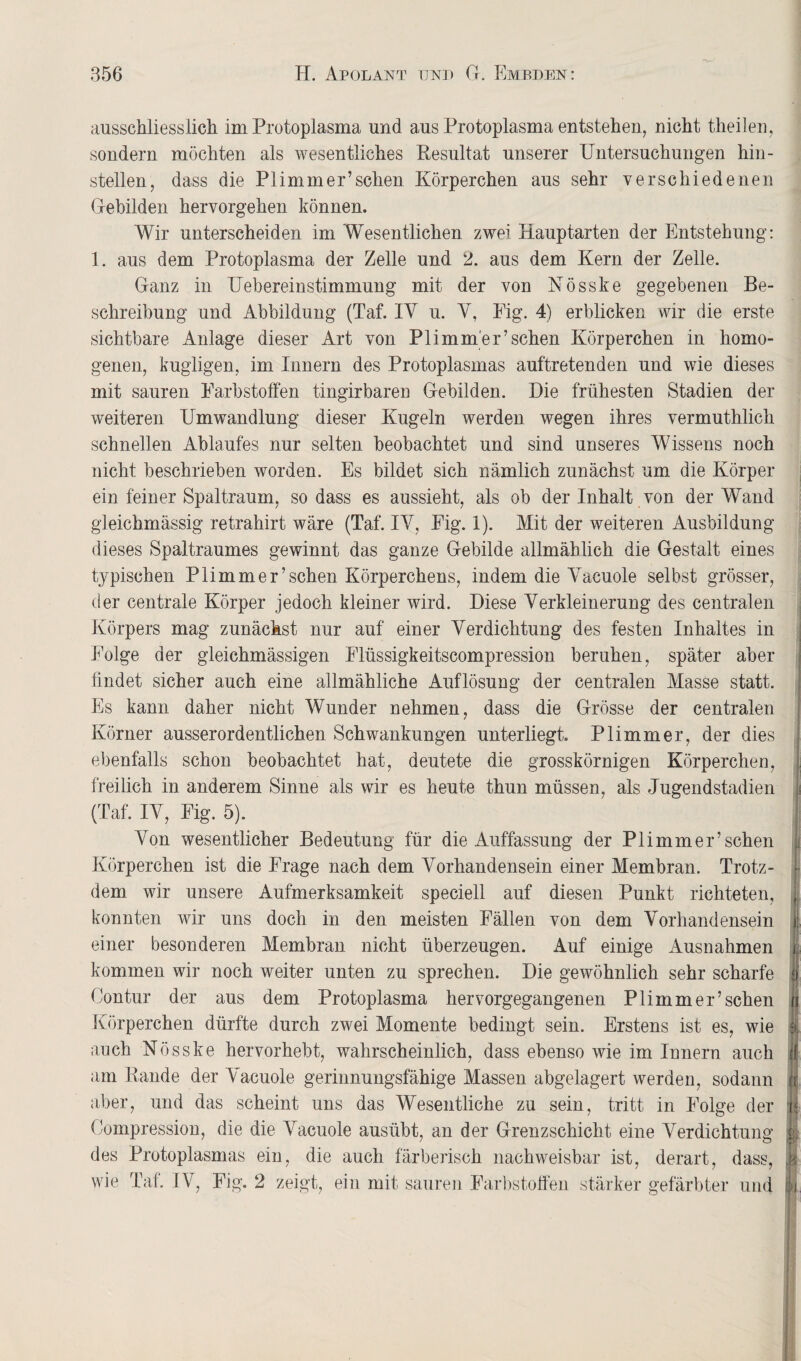 ausschliesslich im Protoplasma und aus Protoplasma entstehen, nicht theilen, sondern möchten als wesentliches Resultat unserer Untersuchungen hin- stellen, dass die PI immer’sehen Körperchen aus sehr verschiedenen Gebilden hervorgehen können. Wir unterscheiden im Wesentlichen zwei Hauptarten der Entstehung: 1. aus dem Protoplasma der Zelle und 2. aus dem Kern der Zelle. Ganz in Uebereinstimmung mit der von Nösske gegebenen Be¬ schreibung und Abbildung (Taf. IV u. Y, Eig. 4) erblicken wir die erste sichtbare Anlage dieser Art von PI immer’sehen Körperchen in homo¬ genen, kugligen, im Innern des Protoplasmas auftretenden und wie dieses mit sauren Farbstoffen tingirbaren Gebilden. Die frühesten Stadien der weiteren Umwandlung dieser Kugeln werden wegen ihres vermuthlich schnellen Ablaufes nur selten beobachtet und sind unseres Wissens noch nicht beschrieben worden. Es bildet sich nämlich zunächst um die Körper ein feiner Spaltraum, so dass es aussieht, als ob der Inhalt von der Wand gleichmässig retrahirt wäre (Taf. IV, Fig. 1). Mit der weiteren Ausbildung dieses Spaltraumes gewinnt das ganze Gebilde allmählich die Gestalt eines typischen Plimmer’sehen Körperchens, indem die Yacuole selbst grösser, der centrale Körper jedoch kleiner wird. Diese Yerkleinerung des centralen Körpers mag zunächst nur auf einer Yerdichtung des festen Inhaltes in Folge der gleichmässigen Flüssigkeitscompression beruhen, später aber findet sicher auch eine allmähliche Auflösung der centralen Masse statt. Es kann daher nicht Wunder nehmen, dass die Grösse der centralen Körner ausserordentlichen Schwankungen unterliegt. Plimmer, der dies ebenfalls schon beobachtet hat, deutete die grosskörnigen Körperchen, freilich in anderem Sinne als wir es heute thun müssen, als Jugendstadien (Taf. IY, Fig. 5). Yon wesentlicher Bedeutung für die Auffassung der Plimmer’sehen Körperchen ist die Frage nach dem Vorhandensein einer Membran. Trotz¬ dem wir unsere Aufmerksamkeit speciell auf diesen Punkt richteten, konnten wir uns doch in den meisten Fällen von dem Yorhandensein einer besonderen Membran nicht überzeugen. Auf einige Ausnahmen kommen wir noch weiter unten zu sprechen. Die gewöhnlich sehr scharfe Contur der aus dem Protoplasma hervorgegangenen Plimmer’sehen Körperchen dürfte durch zwei Momente bedingt sein. Erstens ist es, wie auch Nösske hervorhebt, wahrscheinlich, dass ebenso wie im Innern auch am Bande der Yacuole gerinnungsfähige Massen abgelagert werden, sodann aber, und das scheint uns das Wesentliche zu sein, tritt in Folge der Compression, die die Yacuole ausübt, an der Grenzschicht eine Verdichtung des Protoplasmas ein, die auch färberisch nachweisbar ist, derart, dass,