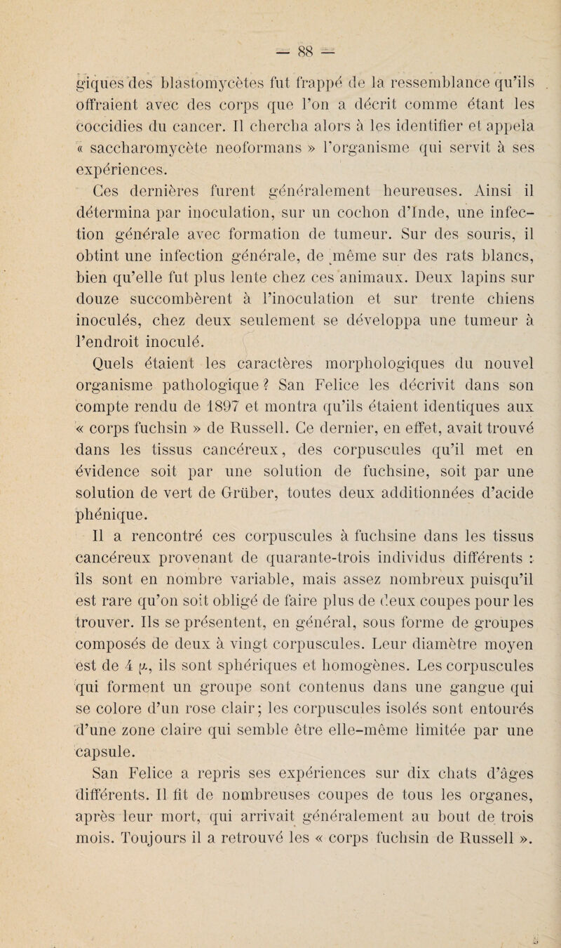 giques des blastomycètes fut frappé de la ressemblance qu’ils offraient avec des corps que l’on a décrit comme étant les coccidies du cancer. Il chercha alors à les identifier et appela « saccharomycète neoformans » l’organisme qui servit à ses expériences. Ces dernières furent généralement heureuses. Ainsi il détermina par inoculation, sur un cochon d’Inde, une infec¬ tion générale avec formation de tumeur. Sur des souris, il obtint une infection générale, de même sur des rats blancs, bien qu’elle fut plus lente chez ces animaux. Deux lapins sur douze succombèrent à l’inoculation et sur trente chiens inoculés, chez deux seulement se développa une tumeur à l’endroit inoculé. Quels étaient les caractères morphologiques du nouvel organisme pathologique ? San Felice les décrivit dans son compte rendu de 1897 et montra qu’ils étaient identiques aux « corps fuchsin » de Russell. Ce dernier, en effet, avait trouvé dans les tissus cancéreux, des corpuscules qu’il met en évidence soit par une solution de fuchsine, soit par une solution de vert de Grüber, toutes deux additionnées d’acide phénique. Il a rencontré ces corpuscules à fuchsine dans les tissus cancéreux provenant de quarante-trois individus différents : ils sont en nombre variable, mais assez nombreux puisqu’il est rare qu’on soit obligé de faire plus de deux coupes pour les trouver. Ils se présentent, en général, sous forme de groupes composés de deux à vingt corpuscules. Leur diamètre moyen est de 4 g, ils sont sphériques et homogènes. Les corpuscules qui forment un groupe sont contenus dans une gangue qui se colore d’un rose clair; les corpuscules isolés sont entourés d’une zone claire qui semble être elle-même limitée par une capsule. San Felice a repris ses expériences sur dix chats d’âges différents. Il fit de nombreuses coupes de tous les organes, après leur mort, qui arrivait généralement au bout de trois mois. Toujours il a retrouvé les « corps fuchsin de Russell ».