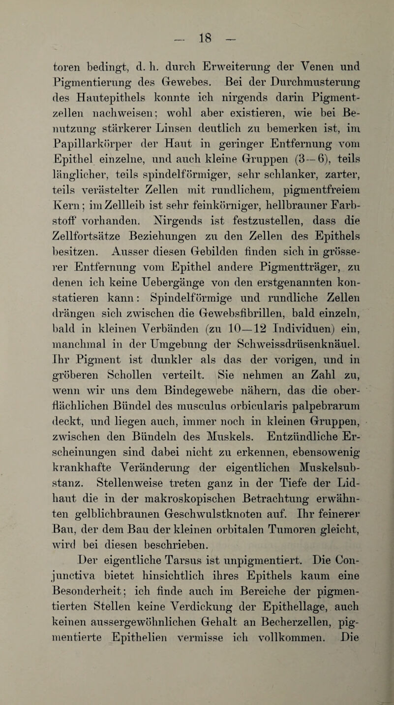 toren bedingt, d. h. durch Erweiterung der Venen und Pigmentierung des Gewebes. Bei der Durchmusterung des Hautepithels konnte ich nirgends darin Pigment¬ zellen nachweisen; wohl aber existieren, wie bei Be¬ nutzung stärkerer Linsen deutlich zu bemerken ist, im Papillarkörper der Haut in geringer Entfernung vom Epithel einzelne, und auch kleine Gruppen (3—6), teils länglicher, teils spindelförmiger, sehr schlanker, zarter, teils verästelter Zellen mit rundlichem, pigmentfreiem Kern; im Zellleib ist sehr feinkörniger, hellbrauner Farb¬ stoff vorhanden. Nirgends ist festzustellen, dass die Zellfortsätze Beziehungen zu den Zellen des Epithels besitzen. Ausser diesen Gebilden finden sich in grösse¬ rer Entfernung vom Epithel andere Pigmentträger, zu denen ich keine Uebergänge von den erstgenannten kon¬ statieren kann: Spindelförmige und rundliche Zellen drängen sich zwischen die Gewebsfibrillen, bald einzeln, bald in kleinen Verbänden (zu 10—12 Individuen) ein, manchmal in der Umgebung der Schweissdrüsenknäuel. Ihr Pigment ist dunkler als das der vorigen, und in gröberen Schollen verteilt. Sie nehmen an Zahl zu, wenn wir uns dem Bindegewebe nähern, das die ober¬ flächlichen Bündel des musculus orbicularis palpebrarum deckt, und liegen auch, immer noch in kleinen Gruppen, zwischen den Bündeln des Muskels. Entzündliche Er¬ scheinungen sind dabei nicht zu erkennen, ebensowenig krankhafte Veränderung der eigentlichen Muskelsub¬ stanz. Stellenweise treten ganz in der Tiefe der Lid¬ haut die in der makroskopischen Betrachtung erwähn¬ ten gelblichbraunen Geschwulstknoten auf. Ihr feinerer Bau, der dem Bau der kleinen orbitalen Tumoren gleicht, wird bei diesen beschrieben. Der eigentliche Tarsus ist unpigmentiert. Die Con- junctiva bietet hinsichtlich ihres Epithels kaum eine Besonderheit; ich finde auch im Bereiche der pigmen¬ tierten Stellen keine Verdickung der Epithellage, auch keinen aussergewöhnlichen Gehalt an Becherzellen, pig¬ mentierte Epithelien vermisse ich vollkommen. Die