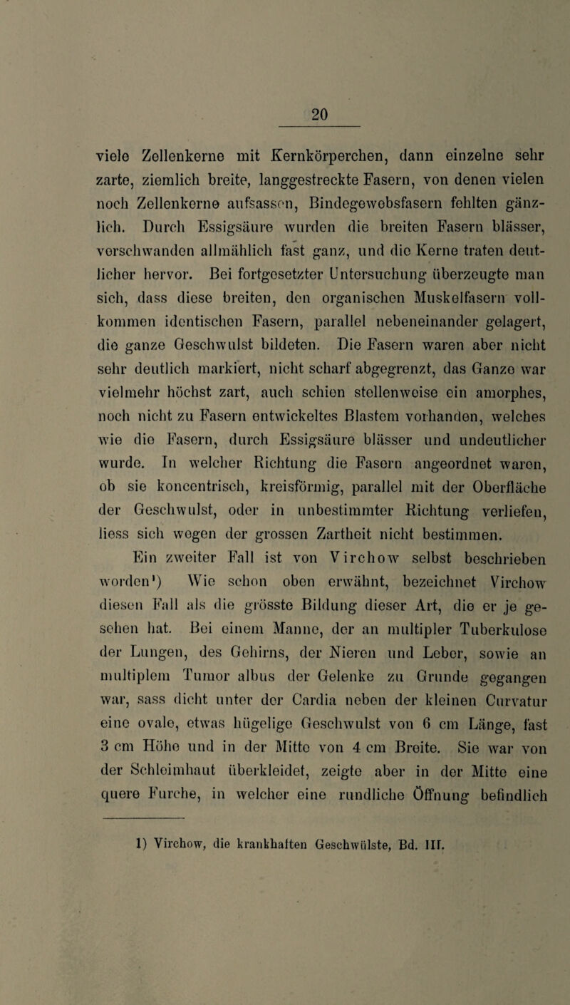 viele Zellenkerne mit Kernkörperchen, dann einzelne sehr zarte, ziemlich breite, langgestreckte Fasern, von denen vielen noch Zellenkerne aufsassen, Bindegewebsfasern fehlten gänz¬ lich. Durch Essigsäure wurden die breiten Fasern blässer, verschwanden allmählich fast ganz, und die Kerne traten deut¬ licher hervor. Bei fortgesetzter Untersuchung überzeugte man sich, dass diese breiten, den organischen Muskelfasern voll¬ kommen identischen Fasern, parallel nebeneinander gelagert, die ganze Geschwulst bildeten. Die Fasern waren aber nicht sehr deutlich markiert, nicht scharf abgegrenzt, das Ganze war vielmehr höchst zart, auch schien stellenweise ein amorphes, noch nicht zu Fasern entwickeltes Blastem vorhanden, welches wie die Fasern, durch Essigsäure blässer und undeutlicher wurde. In welcher Richtung die Fasern angeordnet waren, ob sie koncentrisch, kreisförmig, parallel mit der Oberfläche der Geschwulst, oder in unbestimmter Richtung verliefen, iiess sich wegen der grossen Zartheit nicht bestimmen. Ein zweiter Fall ist von Virchow selbst beschrieben worden') Wie schon oben erwähnt, bezeichnet Virchow diesen Fall als die grösste Bildung dieser Art, die er je ge¬ sehen hat. Bei einem Manne, der an multipler Tuberkulose der Lungen, des Gehirns, der Nieren und Leber, sowie an multiplem Tumor albus der Gelenke zu Grunde gegangen war, sass dicht unter der Cardia neben der kleinen Curvatur eine ovale, etwas hügelige Geschwulst von 6 cm Länge, fast 3 cm Höhe und in der Mitte von 4 cm Breite. Sie war von der Schleimhaut überkleidet, zeigte aber in der Mitte eine cpiere Furche, in welcher eine rundliche Öffnung befindlich