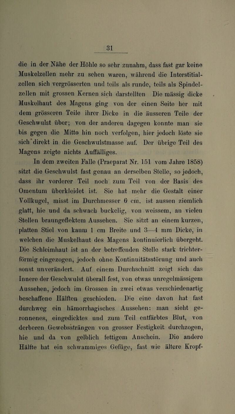 die in der Nähe der Höhle so sehr zunahm, dass fast gar keine Muskelzellen mehr zu sehen waren, während die Interstitial- zellen sieh vergrösserten und teils als runde, teils als Spindel¬ zellen mit grossen Kernen sieh darstellten Die mässig dicke Muskelhaut des Magens ging von der einen Seite her mit dem grösseren Teile ihrer Dicke in die äusseren Teile der Geschwulst über; von der anderen dagegen konnte man sie bis gegen die Mitte hin noch verfolgen, hier jedoch löste sie sich direkt in die Geschwulstmasse auf. Der übrige Teil des Magens zeigte nichts Auffälliges. In dem zweiten Falle (Praeparat Nr. 151 vom Jahre 1858) sitzt die Geschwulst fast genau an derselben Stelle, so jedoch, dass ihr vorderer Teil noch zum Teil von der Basis des Omentum überkleidet ist. Sie hat mehr die Gestalt einer Vollkugel, misst im Durchmesser 6 cm. ist aussen ziemlich glatt, hie und da schwach buckelig, von weissem, an vielen Stellen braungeflektem Aussehen. Sie sitzt an einem kurzen, platten Stiel von kaum 1 cm Breite und 3—4 mm Dicke, in welchen die Muskelhaut des Magens kontinuierlich übergeht. Die Schleimhaut ist an der betreffenden Stelle stark trichter¬ förmig eingezogen, jedoch ohne Kontinuitätsstörung und auch sonst unverändert. Auf einem Durchschnitt zeigt sich das Innere der Geschwulst überall fest, von etwas unregelmässigem Aussehen, jedoch im Grossen in zwei etwas verschiedenartig beschaffene Hälften geschieden. Die eine davon hat fast durchweg ein hämorrhagisches Aussehen: man sieht ge¬ ronnenes, eingedicktes und zum Teil entfärbtes Blut, von derberen Gewobs’strängen von grosser Festigkeit durchzogen, hie und da von gelblich fettigem Anschein. Die andere Hälfte hat ein schwammiges Gefüge, fast wie ältere Kropf-