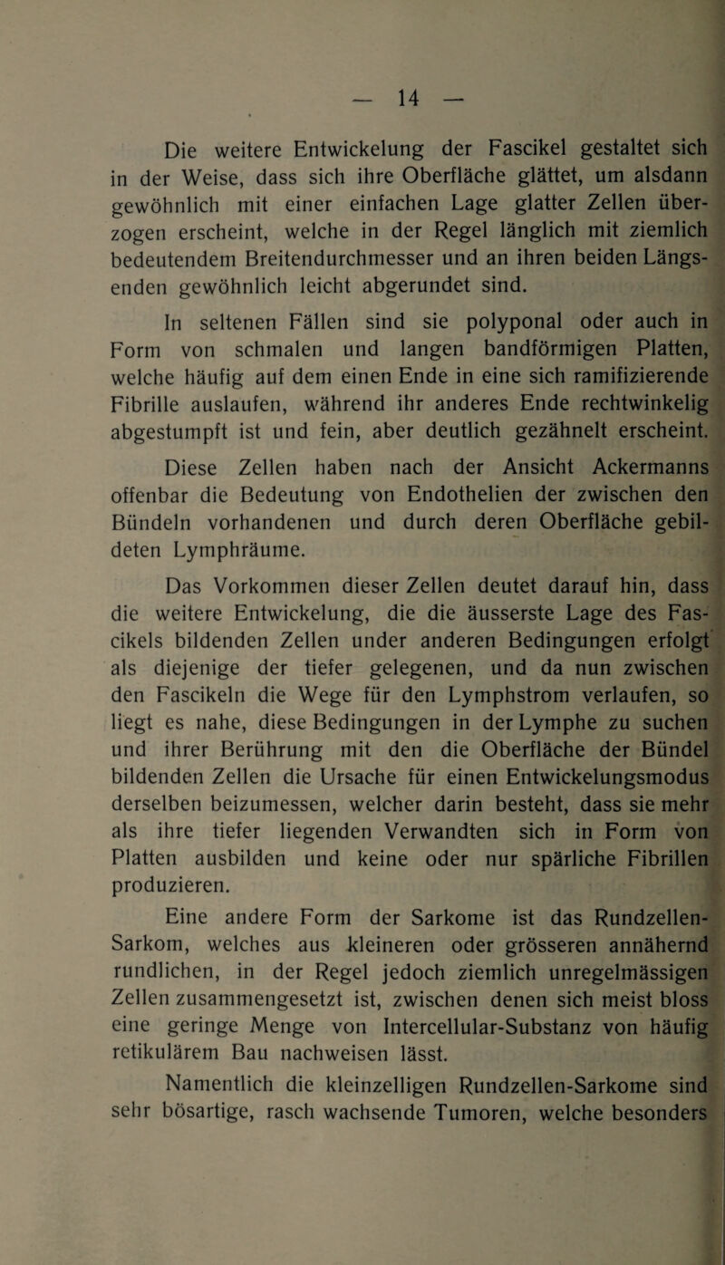 Die weitere Entwickelung der Fascikel gestaltet sich in der Weise, dass sich ihre Oberfläche glättet, um alsdann gewöhnlich mit einer einfachen Lage glatter Zellen über¬ zogen erscheint, welche in der Regel länglich mit ziemlich bedeutendem Breitendurchmesser und an ihren beiden Längs¬ enden gewöhnlich leicht abgerundet sind. In seltenen Fällen sind sie polyponal oder auch in Form von schmalen und langen bandförmigen Platten, welche häufig auf dem einen Ende in eine sich ramifizierende Fibrille auslaufen, während ihr anderes Ende rechtwinkelig abgestumpft ist und fein, aber deutlich gezähnelt erscheint. Diese Zellen haben nach der Ansicht Ackermanns offenbar die Bedeutung von Endothelien der zwischen den Bündeln vorhandenen und durch deren Oberfläche gebil¬ deten Lyrnphräume. Das Vorkommen dieser Zellen deutet darauf hin, dass die weitere Entwickelung, die die äusserste Lage des Fas- cikels bildenden Zellen under anderen Bedingungen erfolgt als diejenige der tiefer gelegenen, und da nun zwischen den Fascikeln die Wege für den Lymphstrom verlaufen, so liegt es nahe, diese Bedingungen in der Lymphe zu suchen und ihrer Berührung mit den die Oberfläche der Bündel bildenden Zellen die Ursache für einen Entwickelungsmodus derselben beizumessen, welcher darin besteht, dass sie mehr als ihre tiefer liegenden Verwandten sich in Form von Platten ausbilden und keine oder nur spärliche Fibrillen produzieren. Eine andere Form der Sarkome ist das Rundzellen- Sarkom, welches aus kleineren oder grösseren annähernd rundlichen, in der Regel jedoch ziemlich unregelmässigen Zellen zusammengesetzt ist, zwischen denen sich meist bloss eine geringe Menge von Intercellular-Substanz von häufig retikulärem Bau nachweisen lässt. Namentlich die kleinzelligen Rundzellen-Sarkome sind sehr bösartige, rasch wachsende Tumoren, welche besonders