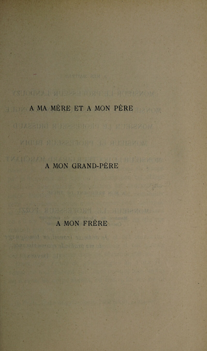 A MA MÈRE ET A MON PÈRE A MON GRAND-PÈRE V A MON FRÈRE