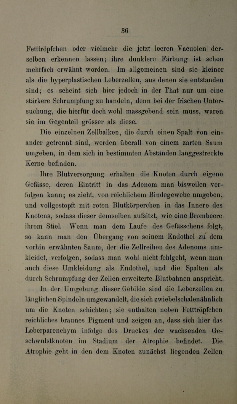 Fetttröpfchen oder vielmehr die jetzt leeren Vacuolen der¬ selben erkennen lassen; ihre dunklere Färbung ist schon mehrfach erwähnt worden. Im allgemeinen sind sie kleiner als die hyperplastischen Leberzellen, aus denen sie entstanden sind; es scheint sich hier jedoch in der That nur um eine stärkere Schrumpfung zu handeln, denn bei der frischen Unter¬ suchung, die hierfür doch wohl massgebend sein muss, waren sie im Gegenteil grösser als diese. Die einzelnen Zellbalken, die durch einen Spalt von ein¬ ander getrennt sind, werden überall von einem zarten Saum umgeben, in dem sich in bestimmten Abständen langgestreckte Kerne befinden. Ihre Blutversorgung erhalten die Knoten durch eigene Gefässe, deren Eintritt in das Adenom man bisweilen ver¬ folgen kann; es zieht, von reichlichem Bindegewebe umgeben, und vollgestopft mit roten Blutkörperchen in das Innere des Knotens, sodass dieser demselben aufsitzt, wie eine Brombeere ihrem Stiel. Wenn man dem Laufe des Gefässcliens folgt, so kann man den Übergang von seinem Endothel zu dem vorhin erwähnten Saum, der die Zellreihen des Adenoms um¬ kleidet, verfolgen, sodass man wohl nicht fehlgeht, wenn man auch diese Umkleidung als Endothel, und die Spalten als durch Schrumpfung der Zellen erweiterte Blutbahnen anspricht. In der Umgebung dieser Gebilde sind die Leberzellen zu länglichen Spindeln umgewandelt, die sich zwiebelschalenähnlich um dio Knoten schichten; sie enthalten neben Fotttröpfchen reichliches braunes Pigment und zeigen an, dass sich hier das Leberparenchym infolge des Druckes der wachsenden Ge¬ schwulstknoten im Stadium der Atrophie befindet. Die Atrophie geht in den dem Knoten zunächst liegenden Zellen