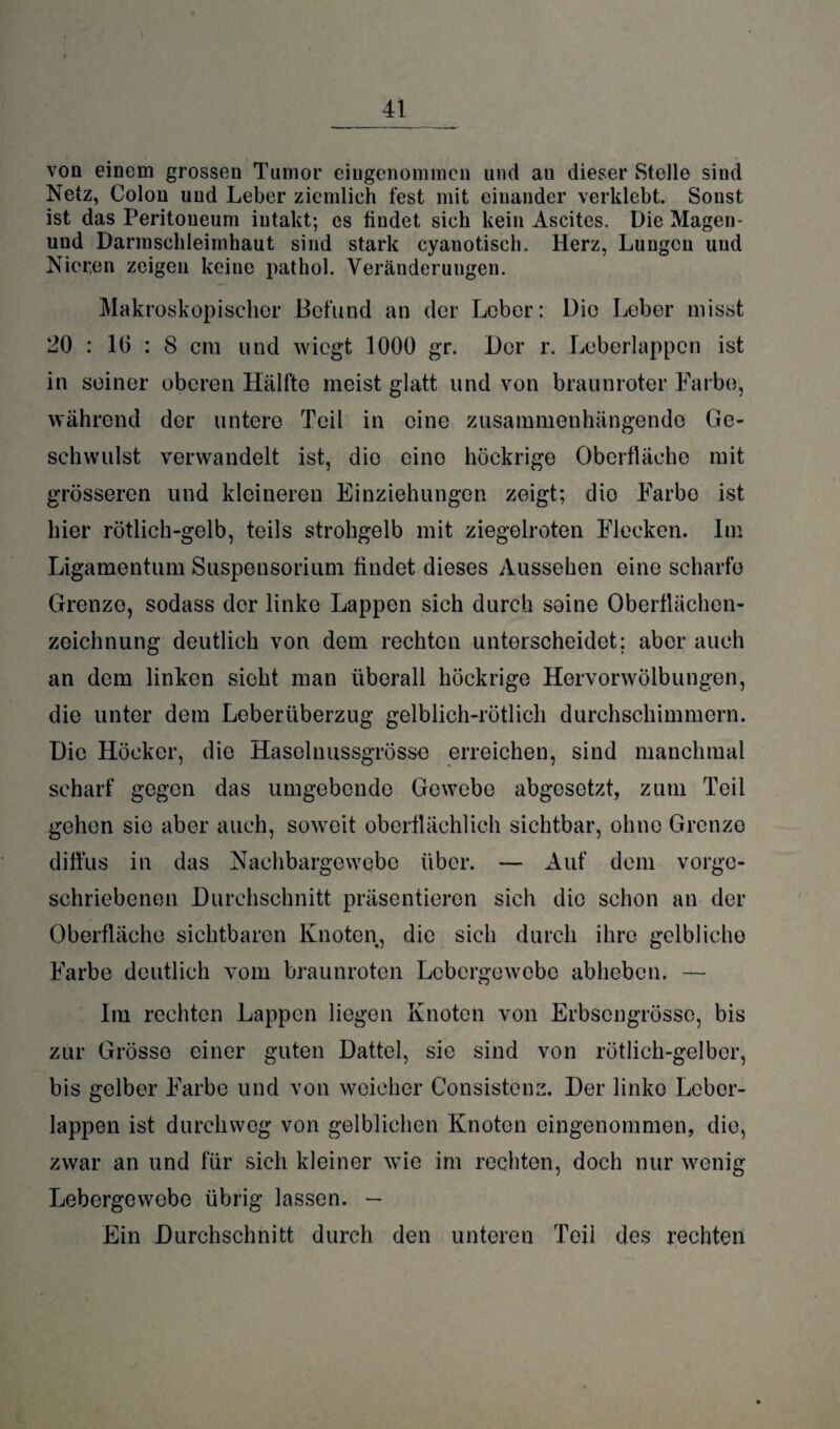 von einem grossen Tumor eingenommen und au dieser Stelle sind Netz, Colon und Leber ziemlich fest mit einander verklebt. Sonst ist das Peritoueum intakt; es findet sich kein Ascites. Die Mageu- und Darmschleimhaut sind stark cyanotisch. Herz, Lungen und Nieren zeigen keine pathol. Veränderungen. Makroskopischer Befund an der Leber: Die Leber misst 20 : 10 : 8 cm und wiegt 1000 gr. Der r. Leberlappen ist in seiner oberen Hälfte meist glatt und von braunroter Farbe, während der untere Teil in eine zusammenhängende Ge¬ schwulst verwandelt ist, die eine höckrige Oberfläche mit grösseren und kleineren Einziehungen zeigt; die Farbe ist hier rötlich-gelb, teils strohgelb mit ziegelroten Flecken. Im Ligamentum Suspensorium findet dieses Aussehen eine scharfe Grenze, sodass der linke Lappen sich durch seine Oberflächen¬ zeichnung deutlich von dem rechten unterscheidet; aber auch an dem linken sieht man überall höckrige Hervorwölbungen, die unter dem Leberüberzug gelblich-rötlich durchschimmern. Die Höcker, die Haselnussgrösse erreichen, sind manchmal scharf gegen das umgebende Gewebe abgosetzt, zum Teil gehen sie aber auch, soweit oberflächlich sichtbar, ohne Grenze diffus in das Nachbargewebe über. — Auf dem vorge¬ schriebenen Durchschnitt präsentieren sich die schon an der Oberfläche sichtbaren Knoten, die sich durch ihre gelbliche Farbe deutlich vom braunroten Lebergewebe abheben. — Im rechten Lappen liegen Knoten von Erbsengrösse, bis zur Grösse einer guten Dattel, sie sind von rötlich-gelber, bis gelber Farbe und von weicher Consistenz. Der linke Lcber- lappen ist durchweg von gelblichen Knoten eingenommen, die, zwar an und für sich kleiner wie im rechten, doch nur wenig Lebergewebe übrig lassen. — Ein Durchschnitt durch den unteren Teil des rechten