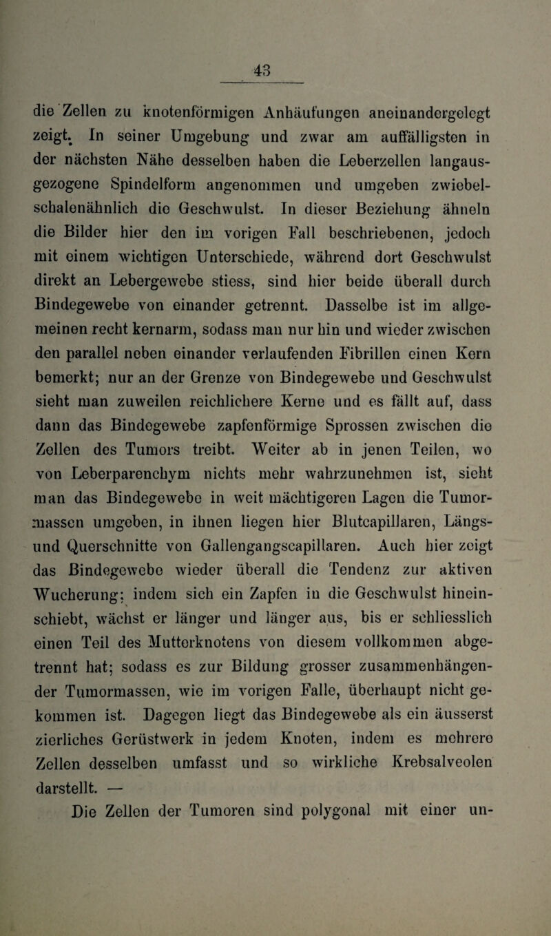 die Zellen zu knotenförmigen Anhäufungen aneinandergelegt zeigt. In seiner Umgebung und zwar am auffälligsten in der nächsten Nähe desselben haben die Leberzellen langaus¬ gezogene Spindelform angenommen und umgeben zwiebel¬ schalenähnlich die Geschwulst. In dieser Beziehung ähneln die Bilder hier den im vorigen Fall beschriebenen, jedoch mit einem wichtigen Unterschiede, während dort Geschwulst direkt an Lebergewebe stiess, sind hier beide überall durch Bindegewebe von einander getrennt. Dasselbe ist im allge¬ meinen recht kernarm, sodass man nur hin und wieder zwischen den parallel neben einander verlaufenden Fibrillen einen Kern bemerkt; nur an der Grenze von Bindegewebe und Geschwulst sieht man zuweilen reichlichere Kerne und es fällt auf, dass dann das Bindegewebe zapfenförmige Sprossen zwischen die Zollen des Tumors treibt. Weiter ab in jenen Teilen, wo von Leberparenchym nichts mehr wahrzunehmen ist, sieht man das Bindegewebe in weit mächtigeren Lagen die Tumor¬ massen umgeben, in ihnen liegen hier Blutcapillaren, Längs¬ und Querschnitte von Gallengangscapillaren. Auch hier zeigt das Bindegewebe wieder überall die Tendenz zur aktiven Wucherung; indem sich ein Zapfen in die Geschwulst hinein¬ schiebt, wächst er länger und länger aus, bis er schliesslich einen Teil des Mutterknotens von diesem vollkommen abge¬ trennt hat; sodass es zur Bildung grosser zusammenhängen¬ der Tumormassen, wie im vorigen Falle, überhaupt nicht ge¬ kommen ist. Dagegen liegt das Bindegewebe als ein äusserst zierliches Gerüstwerk in jedem Knoten, indem es mehrere Zellen desselben umfasst und so wirkliche Krebsalveolen darstellt. — Die Zellen der Tumoren sind polygonal mit einer un-