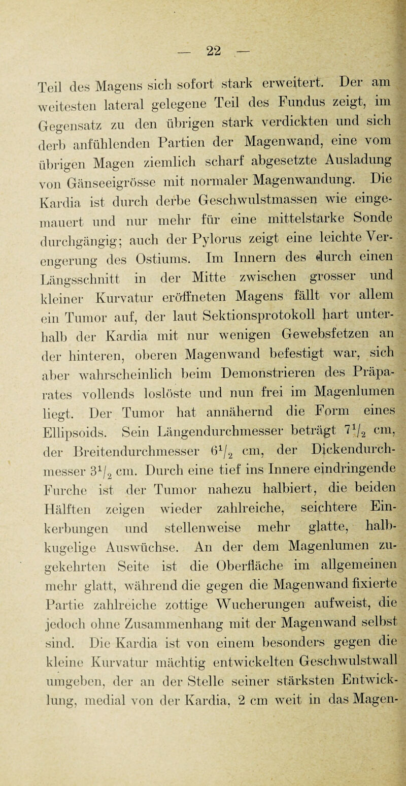 Teil des Magens sich sofort stark erweitert. Der am weitesten lateral gelegene Teil des Fundus zeigt, im Gegensatz zu den übrigen stark verdickten und sich derb anfühlenden Partien der Magenwand, eine vom übrigen Magen ziemlich scharf abgesetzte Ausladung von Gänseeigrösse mit normaler Magenwandung. Die Kardia ist durch derbe Geschwulstmassen wie einge¬ mauert und nur mehr für eine mittelstarke Sonde durchgängig; auch der Pylorus zeigt eine leichte Ver¬ engerung des Ostiums. Im Innern des durch einen Längsschnitt in der Mitte zwischen grosser und kleiner Kurvatur eröffneten Magens fällt vor allem ein Tumor auf, der laut Sektionsprotokoll hart unter¬ halb der Kardia mit nur wenigen Gewebsfetzen an der hinteren, oberen Magenwand befestigt war, sich aber wahrscheinlich beim Demonstrieren des Präpa¬ rates vollends loslöste und nun frei im Magenlumen liegt. Der Tumor hat annähernd die Form eines Ellipsoids. Sein Längendurchmesser beträgt cm, der Breitendurchmesser 61/2 cm, der Dickendurch¬ messer 31/2 cm. Durch eine tief ins Innere eindringende Furche ist der Tumor nahezu halbiert, die beiden Hälften zeigen wieder zahlreiche, seichtere Ein¬ kerbungen und stellenweise mehr glatte, halb¬ kugelige Auswüchse. An der dem Magenlumen zu¬ gekehrten Seite ist die Oberfläche im allgemeinen mehr glatt, während die gegen die Magenwand fixierte Partie zahlreiche zottige Wucherungen aufweist, die jedoch ohne Zusammenhang mit der Magenwand selbst sind. Die Kardia ist von einem besonders gegen die kleine Kurvatur mächtig entwickelten Geschwulstwall umgeben, der an der Stelle seiner stärksten Entwick¬ lung, medial von der Kardia, 2 cm weit in das Magen-