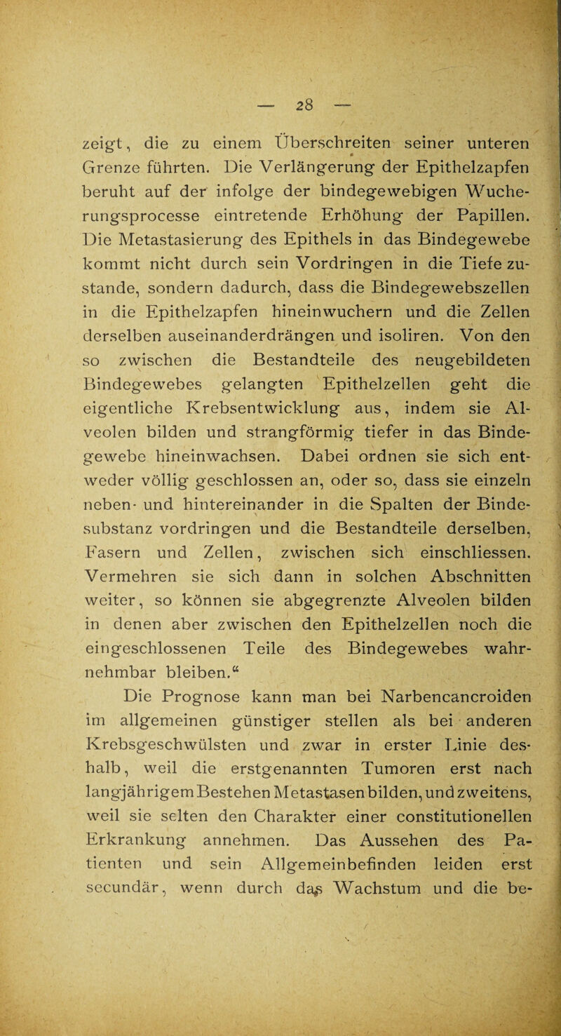 zeigt, die zu einem Überschreiten seiner unteren Grenze führten. Die Verlängerung der Epithelzapfen beruht auf der infolge der bindegewebigen Wuche- rungsproeesse eintretende Erhöhung der Papillen. Die Metastasierung des Epithels in das Bindegewebe kommt nicht durch sein Vordringen in die Tiefe zu¬ stande, sondern dadurch, dass die Bindegewebszellen in die Epithelzapfen hineinwuchern und die Zellen derselben auseinanderdrängen und isoliren. Von den so zwischen die Bestandteile des neugebildeten Bindegewebes gelangten Epithelzellen geht die eigentliche Krebsentwicklung aus, indem sie Al¬ veolen bilden und strangförmig tiefer in das Binde¬ gewebe hineinwachsen. Dabei ordnen sie sich ent¬ weder völlig geschlossen an, oder so, dass sie einzeln neben- und hintereinander in die Spalten der Binde¬ substanz Vordringen und die Bestandteile derselben, Fasern und Zellen, zwischen sich einschliessen. Vermehren sie sich dann in solchen Abschnitten weiter, so können sie abgegrenzte Alveolen bilden in denen aber zwischen den Epithelzellen noch die eingeschlossenen Teile des Bindegewebes wahr¬ nehmbar bleiben.“ Die Prognose kann man bei Narbencancroiden im allgemeinen günstiger stellen als bei anderen Krebsgeschwülsten und zwar in erster Linie des¬ halb , weil die erstgenannten Tumoren erst nach langjährigem Bestehen Metastasen bilden, und zweitens, weil sie selten den Charakter einer constitutionellen Erkrankung annehmen. Das Aussehen des Pa¬ tienten und sein Allgemeinbefinden leiden erst secundär, wenn durch da*s Wachstum und die be-