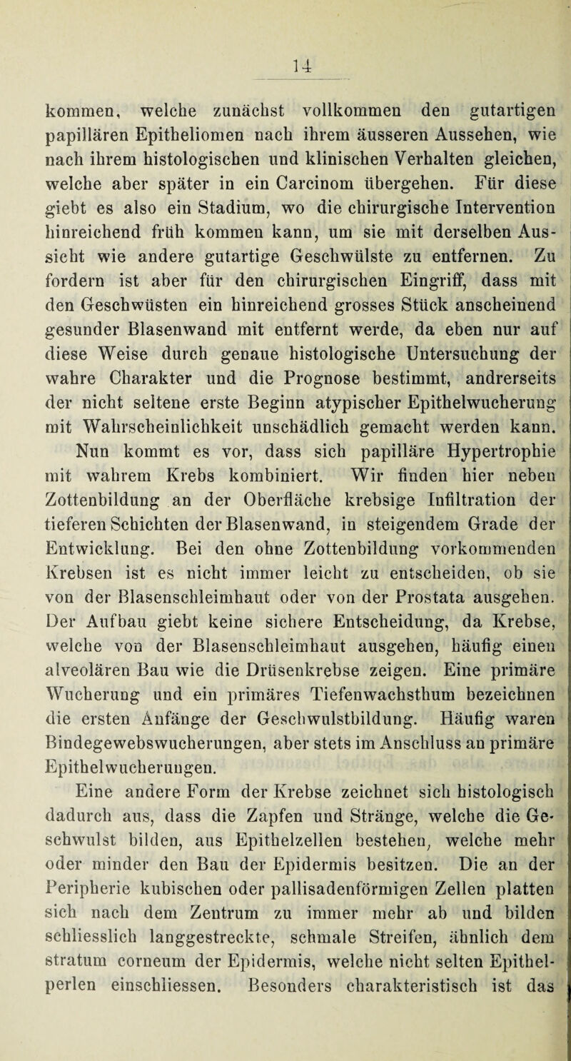 u kommen, welche zunächst vollkommen den gutartigen papillären Epitheliomen nach ihrem äusseren Aussehen, wie nach ihrem histologischen und klinischen Verhalten gleichen, welche aber später in ein Carcinom übergehen. Für diese giebt es also ein Stadium, wo die chirurgische Intervention hinreichend früh kommen kann, um sie mit derselben Aus¬ sicht wie andere gutartige Geschwülste zu entfernen. Zu fordern ist aber für den chirurgischen Eingriff, dass mit den Geschwüsten ein hinreichend grosses Stück anscheinend gesunder Blasenwand mit entfernt werde, da eben nur auf diese Weise durch genaue histologische Untersuchung der wahre Charakter und die Prognose bestimmt, andrerseits der nicht seltene erste Beginn atypischer Epithelwucherung mit Wahrscheinlichkeit unschädlich gemacht werden kann. Nun kommt es vor, dass sich papilläre Hypertrophie mit wahrem Krebs kombiniert. Wir finden hier neben Zottenbildung an der Oberfläche krebsige Infiltration der tieferen Schichten der Blasenwand, in steigendem Grade der Entwicklung. Bei den ohne Zottenbildung vorkommenden Krebsen ist es nicht immer leicht zu entscheiden, ob sie von der Blasenschleimhaut oder von der Prostata ausgehen. Der Aufbau giebt keine sichere Entscheidung, da Krebse, welche von der Blasenschleimhaut ausgehen, häufig einen alveolären Bau wie die Drüsenkrebse zeigen. Eine primäre Wucherung und ein primäres Tiefenwachsthum bezeichnen die ersten Anfänge der Geschwulstbildung. Häufig waren Bindegewebswucherungen, aber stets im Anschluss an primäre | Epithel Wucherungen. Eine andere Form der Krebse zeichnet sich histologisch dadurch aus, dass die Zapfen und Stränge, welche die Ge¬ schwulst bilden, aus Epithelzellen bestehen, welche mehr oder minder den Bau der Epidermis besitzen. Die an der i Peripherie kubischen oder pallisadenförmigen Zellen platten sieb nach dem Zentrum zu immer mehr ab und bilden schliesslich langgestreckte, schmale Streifen, ähnlich dem Stratum corneum der Epidermis, welche nicht selten Epithel¬ perlen einschliessen. Besonders charakteristisch ist das