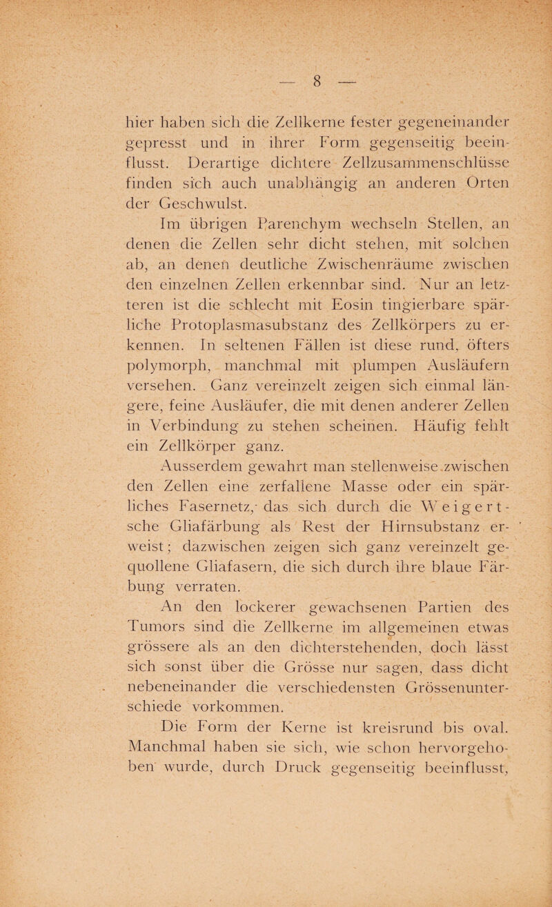 hier haben sich die Zellkerne fester gegeneinander gepresst und in ihrer Form gegenseitig beein¬ flusst. Derartige dichtere Zellzusammenschlüsse finden sich auch unabhängig an anderen Orten der Geschwulst. Im übrigen Parenchym wechseln Stellen, an denen die Zellen sehr dicht stehen, mit solchen ab, an denen deutliche Zwischenräume zwischen den einzelnen Zellen erkennbar sind. Nur an letz¬ teren ist die schlecht mit Eosin tingierbare spär¬ liche Protoplasmasubstanz des Zellkörpers zu er¬ kennen. In seltenen Fällen ist diese rund, öfters polymorph, manchmal mit plumpen Ausläufern versehen. Ganz vereinzelt zeigen sich einmal län¬ gere, feine Ausläufer, die mit denen anderer Zellen in Verbindung zu stehen scheinen. Häufig fehlt ein Zellkörper ganz. Ausserdem gewahrt man stellenweise zwischen den Zellen eine zerfallene Masse oder ein spär¬ liches Fasernetz,-das sich durch die Weigert- sche Gliafärbung als Rest der Hirnsubstanz er¬ weist ; dazwischen zeigen sich ganz vereinzelt ge¬ quollene Gliafasern, die sich durch ihre blaue Fär¬ bung verraten. An den lockerer gewachsenen Partien des Tumors sind die Zellkerne im allgemeinen etwas grössere als an den dichter stehenden, doch lässt sich sonst über die Grösse nur sagen, dass dicht nebeneinander die verschiedensten Grössenunter¬ schiede Vorkommen. Die Form der Kerne ist kreisrund bis oval. Manchmal haben sie sich, wie schon hervorgeho¬ ben wurde, durch Druck gegenseitig beeinflusst,