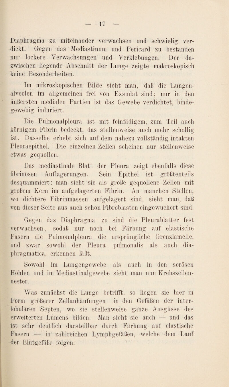 Diaphragma zu miteinander verwachsen und schwielig ver¬ dickt. Gegen das Mediastinum und Pericard zu bestanden nur lockere Verwachsungen und Verklebungen. Der da¬ zwischen liegende Abschnitt der Lunge zeigte makroskopisch keine Besonderheiten. Im mikroskopischen Bilde sieht man. daß die Lungen¬ alveolen im allgemeinen frei von Exsudat sind; nur in den äußersten medialen Partien ist das Gewebe verdichtet, binde¬ gewebig induriert. Die Pulmonalpleura ist mit feinfädigem, zum Teil auch körnigem Fibrin bedeckt, das stellenweise auch mehr schollig ist. Dasselbe erhebt sich auf dem nahezu vollständig intakten Pleuraepithel. Die einzelnen Zellen scheinen nur stellenweise etwas gequollen. Das mediastinale Blatt der Pleura zeigt ebenfalls diese fibrinösen Auflagerungen. Sein Epithel ist größtenteils desquammiert: man sieht sie als große gequollene Zellen mit großem Kern im aufgelagerten Fibrin. An manchen Stellen, wo dichtere Fibrinmassen aufgelagert sind, sieht man, daß von dieser Seite aus auch schon Fibroblasten eingewuchert sind. Gegen das Diaphragma zu sind die Pleurablätter fest verwachsen, sodaß nur noch bei Färbung auf elastische Fasern die Pulmonalpleura die ursprüngliche Grenzlamelle, und zwar sowohl der Pleura pulmonalis als auch dia- phragmatica, erkennen läßt. Sowohl im Lungengewebe als auch in den serösen Höhlen und im Mediastinalgewebe sieht man nun Krebszellen¬ nester. Was zunächst die Lunge betrifft, so liegen sie hier in Form größerer Zellanhäufungen in den Gefäßen der inter¬ lobulären Septen, wo sie stellenweise ganze Ausgüsse des erweiterten Lumens bilden. Man sieht sie auch — und das ist sehr deutlich darstellbar durch Färbung auf elastische Fasern — in zahlreichen Lymphgefäßen, welche dem Lauf der Blutgefäße folgen.