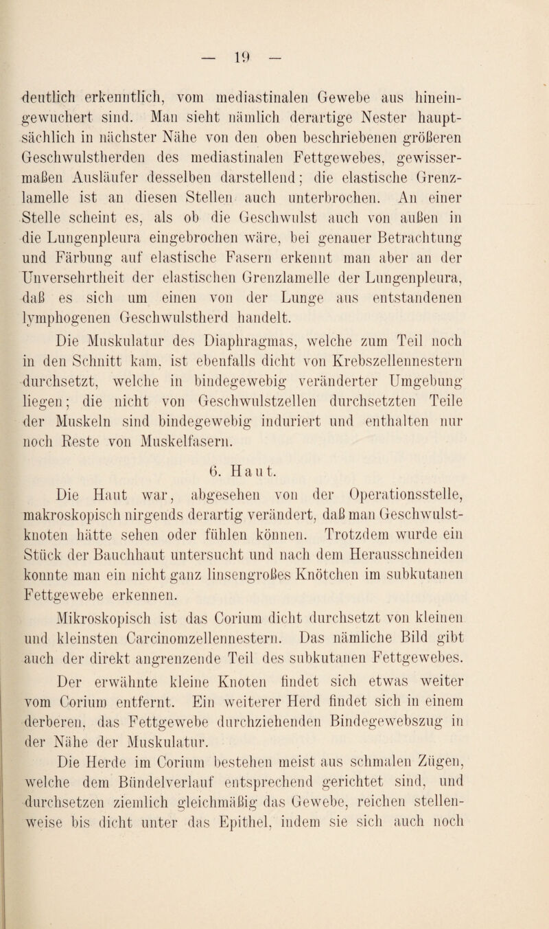 deutlich erkenntlich, vom mediastinalen Gewebe aus hinein- gewuchert sind. Man sieht nämlich derartige Nester haupt¬ sächlich in nächster Nähe von den oben beschriebenen größeren Geschwulstherden des mediastinalen Fettgewebes, gewisser¬ maßen Ausläufer desselben darstellend; die elastische Grenz¬ lamelle ist an diesen Stellen auch unterbrochen. An einer Stelle scheint es, als ob die Geschwulst auch von außen in die Lungenpleura eingebrochen wäre, bei genauer Betrachtung und Färbung auf elastische Fasern erkennt man aber an der Unversehrtheit der elastischen Grenzlamelle der Lungenpleura, daß es sich um einen von der Lunge aus entstandenen lymphogenen Geschwulstherd handelt. Die Muskulatur des Diaphragmas, welche zum Teil noch in den Schnitt kam, ist ebenfalls dicht von Krebszellennestern durchsetzt, welche in bindegewebig veränderter Umgebung liegen; die nicht von Geschwulstzellen durchsetzten Teile der Muskeln sind bindegewebig induriert und enthalten nur noch Reste von Muskelfasern. 6. Haut. Die Haut war, abgesehen von der Operationsstelle, makroskopisch nirgends derartig verändert, daß man Geschwulst¬ knoten hätte sehen oder fühlen können. Trotzdem wurde ein Stück der Bauchhaut untersucht und nach dem Herausschneiden konnte man ein nicht ganz linsengroßes Knötchen im subkutanen Fettgewebe erkennen. Mikroskopisch ist das Corium dicht durchsetzt von kleinen und kleinsten Carcinomzellennestern. Das nämliche Bild gibt auch der direkt angrenzende Teil des subkutanen Fettgewebes. Der erwähnte kleine Knoten bildet sich etwas weiter vom Corium entfernt. Ein weiterer Herd ßndet sich in einem derberen, das Fettgewebe durchziehenden Bindegewebszug in der Nähe der Muskulatur. Die Herde im Corium bestehen meist aus schmalen Zügen, welche dem Bündelverlauf entsprechend gerichtet sind, und durchsetzen ziemlich gleichmäßig das Gewebe, reichen stellen¬ weise bis dicht unter das Epithel, indem sie sich auch noch