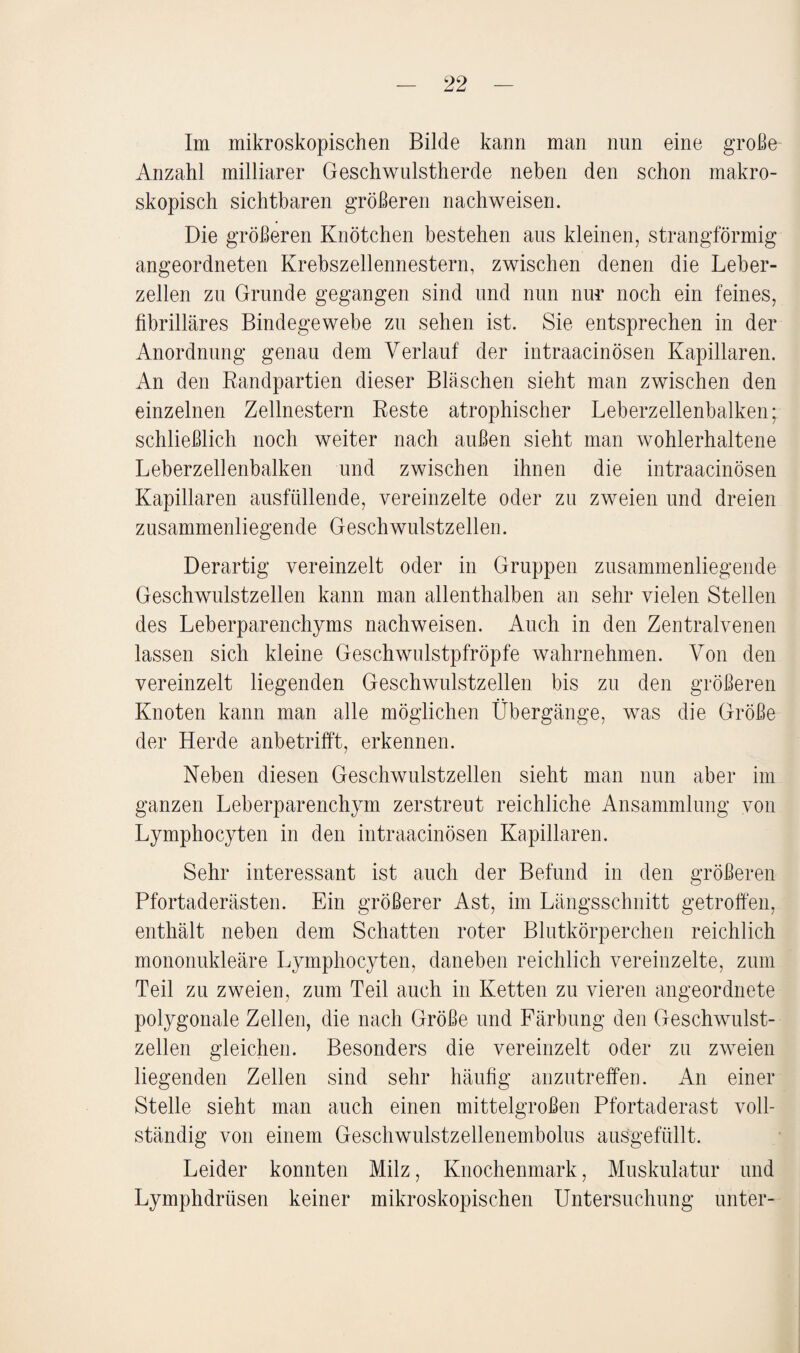 Anzahl milliarer Geschwulstherde neben den schon makro¬ skopisch sichtbaren größeren nachweisen. Die größeren Knötchen bestehen aus kleinen, strangförmig angeordneten Krebszellennestern, zwischen denen die Leber¬ zellen zu Grunde gegangen sind und nun nur noch ein feines, fibrilläres Bindegewebe zu sehen ist. Sie entsprechen in der Anordnung genau dem Verlauf der intraacinösen Kapillaren. An den Randpartien dieser Bläschen sieht man zwischen den einzelnen Zellnestern Reste atrophischer Leberzellenbalken; schließlich noch weiter nach außen sieht man wohlerhaltene Leberzellenbalken und zwischen ihnen die intraacinösen Kapillaren ausfüllende, vereinzelte oder zu zweien und dreien zusammenliegende Geschwulstzellen. Derartig vereinzelt oder in Gruppen zusammenliegende Geschwulstzellen kann man allenthalben an sehr vielen Stellen des Leberparenchyms nachweisen. Auch in den Zentralvenen lassen sich kleine Geschwulstpfröpfe wahrnehmen. Von den vereinzelt liegenden Geschwulstzellen bis zu den größeren Knoten kann man alle möglichen Übergänge, was die Größe der Herde anbetrifft, erkennen. Neben diesen Geschwulstzellen sieht man nun aber im ganzen Leberparenchym zerstreut reichliche Ansammlung von Lymphocyten in den intraacinösen Kapillaren. Sehr interessant ist auch der Befund in den größeren Pfortaderästen. Ein größerer Ast, im Längsschnitt getroffen, enthält neben dem Schatten roter Blutkörperchen reichlich mononukleäre Lymphocyten, daneben reichlich vereinzelte, zum Teil zu zweien, zum Teil auch in Ketten zu vieren angeordnete polygonale Zellen, die nach Größe und Färbung den Geschwulst¬ zellen gleichen. Besonders die vereinzelt oder zu zweien liegenden Zellen sind sehr häufig anzutreffen. An einer Stelle sieht man auch einen mittelgroßen Pfortaderast voll¬ ständig von einem Geschwulstzellenembolus ausgefüllt. Leider konnten Milz, Knochenmark, Muskulatur und Lymphdrüsen keiner mikroskopischen Untersuchung unter-