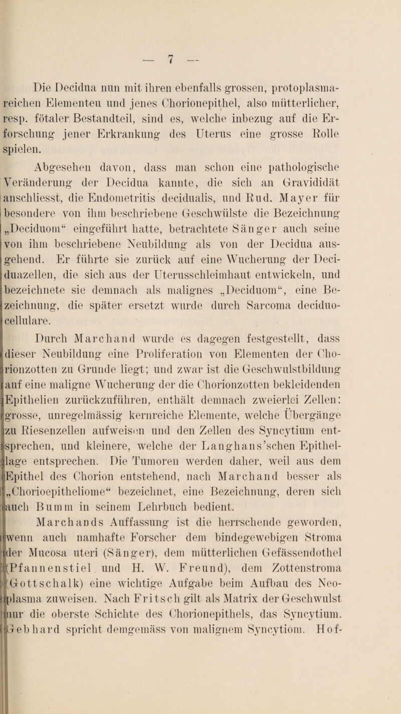 Die Decidua nun mit ihren ebenfalls grossen, protoplasma¬ reichen Elementen und jenes Chorionepithel, also mütterlicher, resp. fötaler Bestandteil, sind es, welche inbezug auf die Er¬ forschung jener Erkrankung des Uterus eine grosse Rolle spielen. Abgesehen davon, dass man schon eine pathologische Veränderung der Decidua kannte, die sich an Gravididät |anschliesst, die Endometritis decidualis, und Rud. Mayer für i besondere von ihm beschriebene Geschwülste die Bezeichnung „Deciduom“ eingeführt hatte, betrachtete Sänger auch seine von ihm beschriebene Neubildung als von der Decidua aus¬ gehend. Er führte sie zurück auf eine Wucherung der Deci- duazellen, die sich aus der Uterusschleimhaut entwickeln, und bezeichnete sie demnach als malignes „Deciduom“, eine Be¬ zeichnung, die später ersetzt wurde durch Sarcoma deciduo- cellulare. Durch March and wurde es dagegen festgestellt, dass dieser Neubildung eine Proliferation von Elementen der Cho¬ rionzotten zu Grunde liegt; und zwar ist die Geschwulstbildung auf eine maligne Wucherung der die Chorionzotten bekleidenden Epithelien zurückzuführen, enthält demnach zweierlei Zellen: (grosse, unregelmässig kernreiche Elemente, welche Übergänge zu Riesenzellen auf weisen und den Zellen des Syncytium ent- Isprechen, und kleinere, welche der Langhans’schen Epithel- jlage entsprechen. Die Tumoren werden daher, weil aus dem «Epithel des Chorion entstehend, nach Marchand besser als [ „Chorioepitheliome“ bezeichnet, eine Bezeichnung, deren sich Jauch Bumm in seinem Lehrbuch bedient. March an ds Auffassung ist die herrschende geworden, lewenn auch namhafte Forscher dem bindegewebigen Stroma ider Mucosa uteri (Sänger), dem mütterlichen Gefässendothel “(Pfannenstiel und H. W. Freund), dem Zottenstroma bl Gott schalk) eine wichtige Aufgabe beim Aufbau des Neo¬ nplasma zuweisen. Nach Fritsch gilt als Matrix der Geschwulst kiur die oberste Schichte des Chorionepithels, das Syncytium. fiGebhard spricht demgemäss von malignem Syncytiom. Hof-