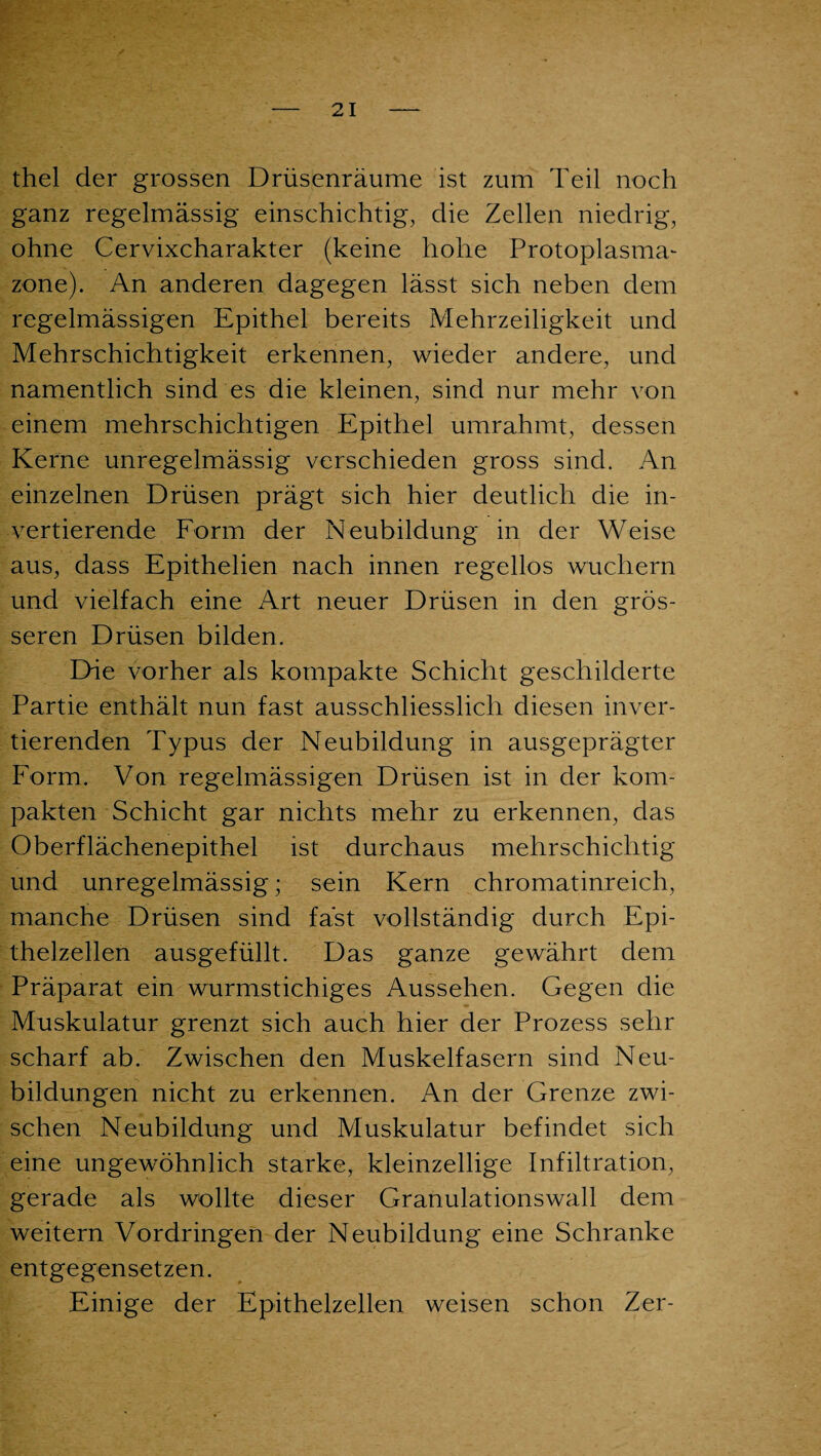 thel der grossen Drüsenräume ist zum Teil noch ganz regelmässig einschichtig, die Zellen niedrig, ohne Cervixcharakter (keine holle Protoplasma¬ zone). An anderen dagegen lässt sich neben dem regelmässigen Epithel bereits Mehrzeiligkeit und Mehrschichtigkeit erkennen, wieder andere, und namentlich sind es die kleinen, sind nur mehr von einem mehrschichtigen Epithel umrahmt, dessen Kerne unregelmässig verschieden gross sind. An einzelnen Drüsen prägt sich hier deutlich die in¬ vertierende Form der Neubildung in der Weise aus, dass Epithelien nach innen regellos wuchern und vielfach eine Art neuer Drüsen in den grös¬ seren Drüsen bilden. Die vorher als kompakte Schicht geschilderte Partie enthält nun fast ausschliesslich diesen inver¬ tierenden Typus der Neubildung in ausgeprägter Form. Von regelmässigen Drüsen ist in der kom¬ pakten Schicht gar nichts mehr zu erkennen, das Oberflächenepithel ist durchaus mehrschichtig und unregelmässig; sein Kern chromatinreich, manche Drüsen sind fast vollständig durch Epi¬ thelzellen ausgefüllt. Das ganze gewährt dem Präparat ein wurmstichiges Aussehen. Gegen die Muskulatur grenzt sich auch hier der Prozess sehr scharf ab. Zwischen den Muskelfasern sind Neu¬ bildungen nicht zu erkennen. An der Grenze zwi¬ schen Neubildung und Muskulatur befindet sich eine ungewöhnlich starke, kleinzellige Infiltration, gerade als wollte dieser Granulationswall dem weitern Vordringen der Neubildung eine Schranke entgegensetzen. Einige der Epithelzellen weisen schon Zer-