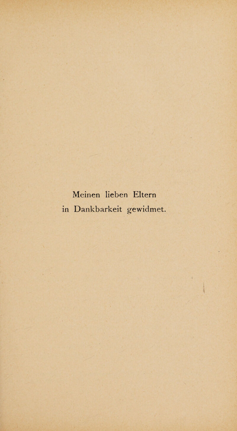 / Meinen lieben Eltern in Dankbarkeit gewidmet.