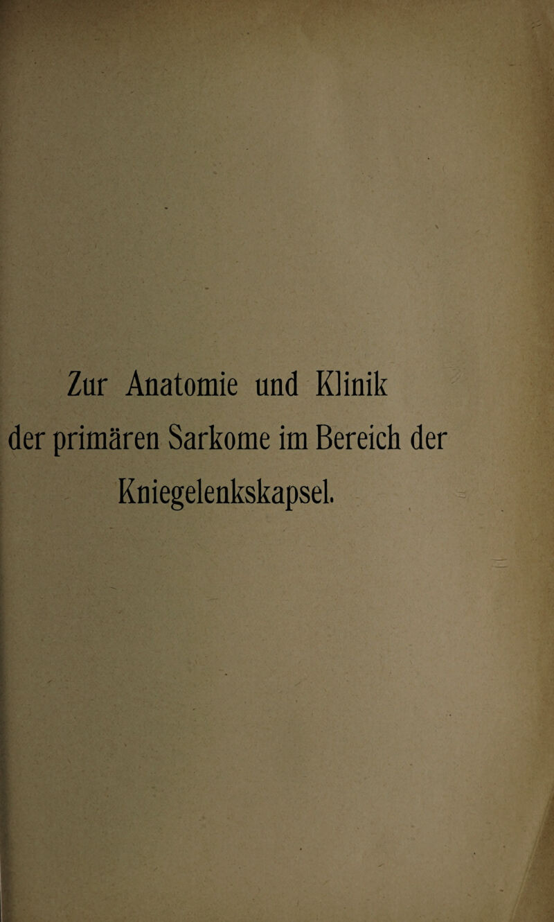 Zur Anatomie und Klinik der primären Sarkome im Bereich der Kniegelenkskapsel.