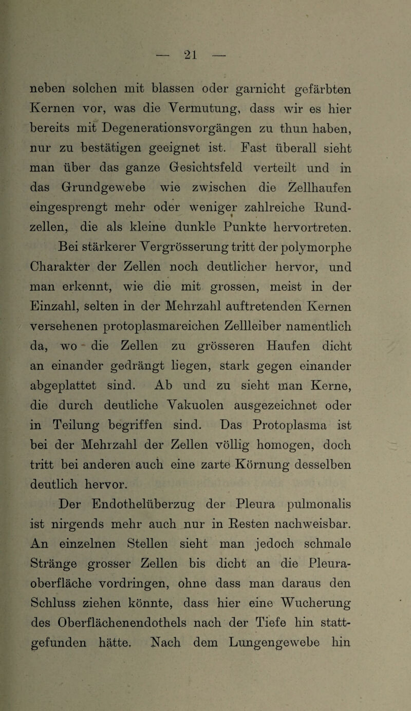 neben solchen mit blassen oder garnicht gefärbten Kernen vor, was die Vermutung, dass wir es hier bereits mit Degenerationsvorgängen zu thun haben, nur zu bestätigen geeignet ist. Fast überall sieht man über das ganze Gesichtsfeld verteilt und in das Grundgewebe wie zwischen die Zellhaufen eingesprengt mehr oder weniger zahlreiche Kund¬ zellen, die als kleine dunkle Punkte hervortreten. Bei stärkerer Vergrösserung tritt der polymorphe Charakter der Zellen noch deutlicher hervor, und man erkennt, wie die mit grossen, meist in der Einzahl, selten in der Mehrzahl auftretenden Kernen versehenen protoplasmareichen Zellleiber namentlich da, wo die Zellen zu grösseren Haufen dicht an einander gedrängt liegen, stark gegen einander abgeplattet sind. Ab und zu sieht man Kerne, die durch deutliche Vakuolen ausgezeichnet oder in Teilung begriffen sind. Das Protoplasma ist bei der Mehrzahl der Zellen völlig homogen, doch tritt bei anderen auch eine zarte Körnung desselben deutlich hervor. Der Endothelüberzug der Pleura pulmonalis ist nirgends mehr auch nur in Kesten nachweisbar. An einzelnen Stellen sieht man jedoch schmale Stränge grosser Zellen bis dicht an die Pleura¬ oberfläche Vordringen, ohne dass man daraus den Schluss ziehen könnte, dass hier eine Wucherung des Oberflächenendothels nach der Tiefe hin statt¬ gefunden hätte. Nach dem Lungengewebe hin