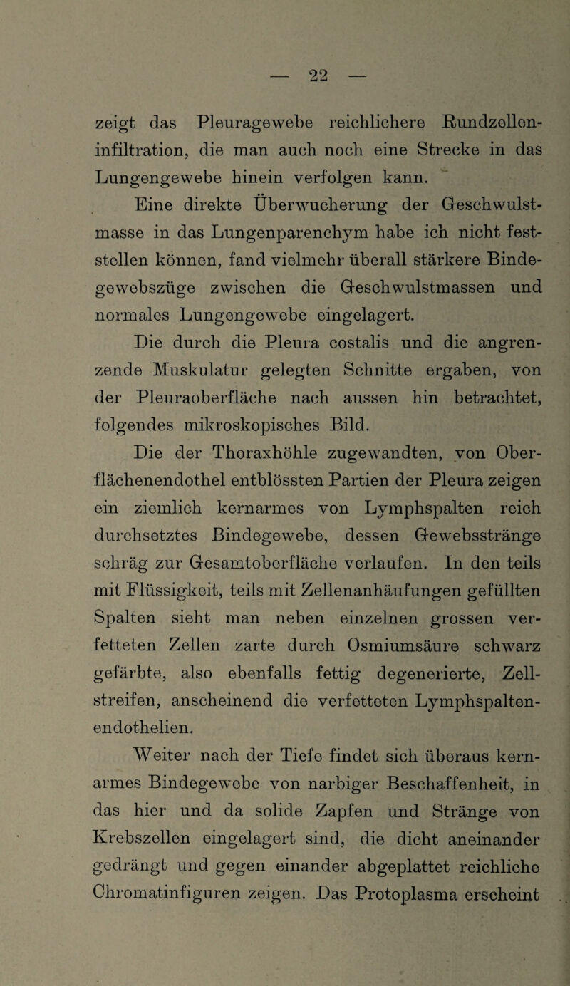 zeigt das Pleuragewebe reichlichere Rundzellen- infiltration, die man auch noch eine Strecke in das Lungengewebe hinein verfolgen kann. Eine direkte Überwucherung der Geschwulst¬ masse in das Lungenparenchym habe ich nicht fest¬ stellen können, fand vielmehr überall stärkere Binde- gewebszüge zwischen die Geschwulstmassen und normales Lungengewebe eingelagert. Die durch die Pleura costalis und die angren¬ zende Muskulatur gelegten Schnitte ergaben, von der Pleuraoberfläche nach aussen hin betrachtet, folgendes mikroskopisches Bild. Die der Thoraxhöhle zugewandten, von Ober¬ flächenendothel entblössten Partien der Pleura zeigen ein ziemlich kernarmes von Lymphspalten reich durchsetztes Bindegewebe, dessen Gewebsstränge schräg zur Gesamtoberfläche verlaufen. In den teils mit Flüssigkeit, teils mit Zellenanhäufungen gefüllten Spalten sieht man neben einzelnen grossen ver¬ fetteten Zellen zarte durch Osmiumsäure schwarz gefärbte, also ebenfalls fettig degenerierte, Zell¬ streifen, anscheinend die verfetteten Lymphspalten- endothelien. Weiter nach der Tiefe findet sich überaus kern¬ armes Bindegewebe von narbiger Beschaffenheit, in das hier und da solide Zapfen und Stränge von Krebszellen eingelagert sind, die dicht aneinander gedrängt pnd gegen einander abgeplattet reichliche Chromatinfiguren zeigen. Das Protoplasma erscheint