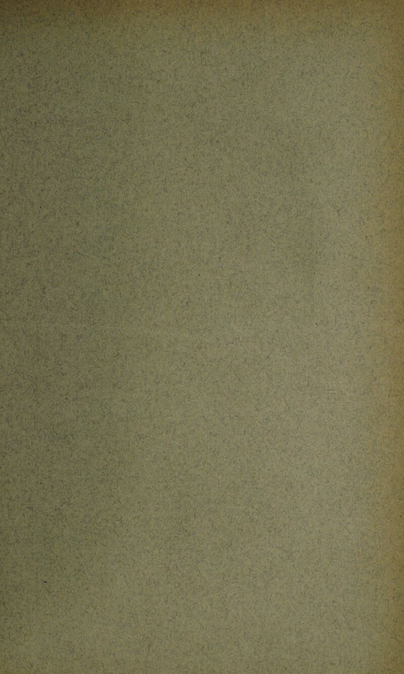 . -AV'. '.$•& £ >■ -*r' : .:X • ■ ‘ T-.- S&'iA ■’■% : l ; i' .V ''. .. :*r.i 1 ■ 1 , ■p. jr y,'-,. •• ■. T: V S -, , • ' • ■ ^ v. ; • ’ . ■ r,:é; ■ *!■ - ...- - . ■? -;s5. M. ■ - .... ... i ■ K^v.' . X» /'y.' v. ,V’ 1 r’-ÿ: ' V v -, 'r. ,/•' . • v . •• •• »' 1