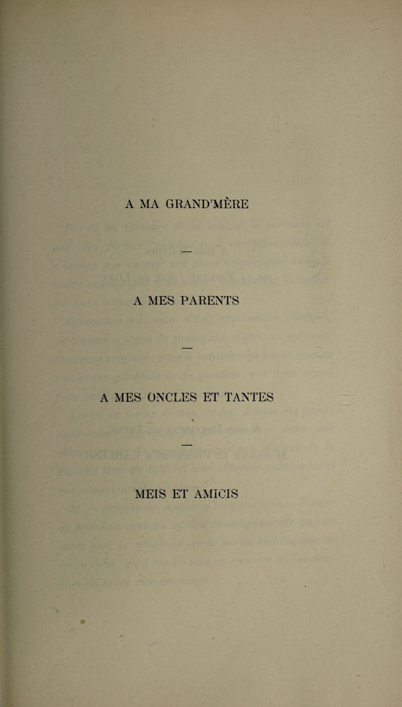 A MA GRAND’MÈRE A MES PARENTS A MES ONCLES ET TANTES \ MEIS ET AMICIS