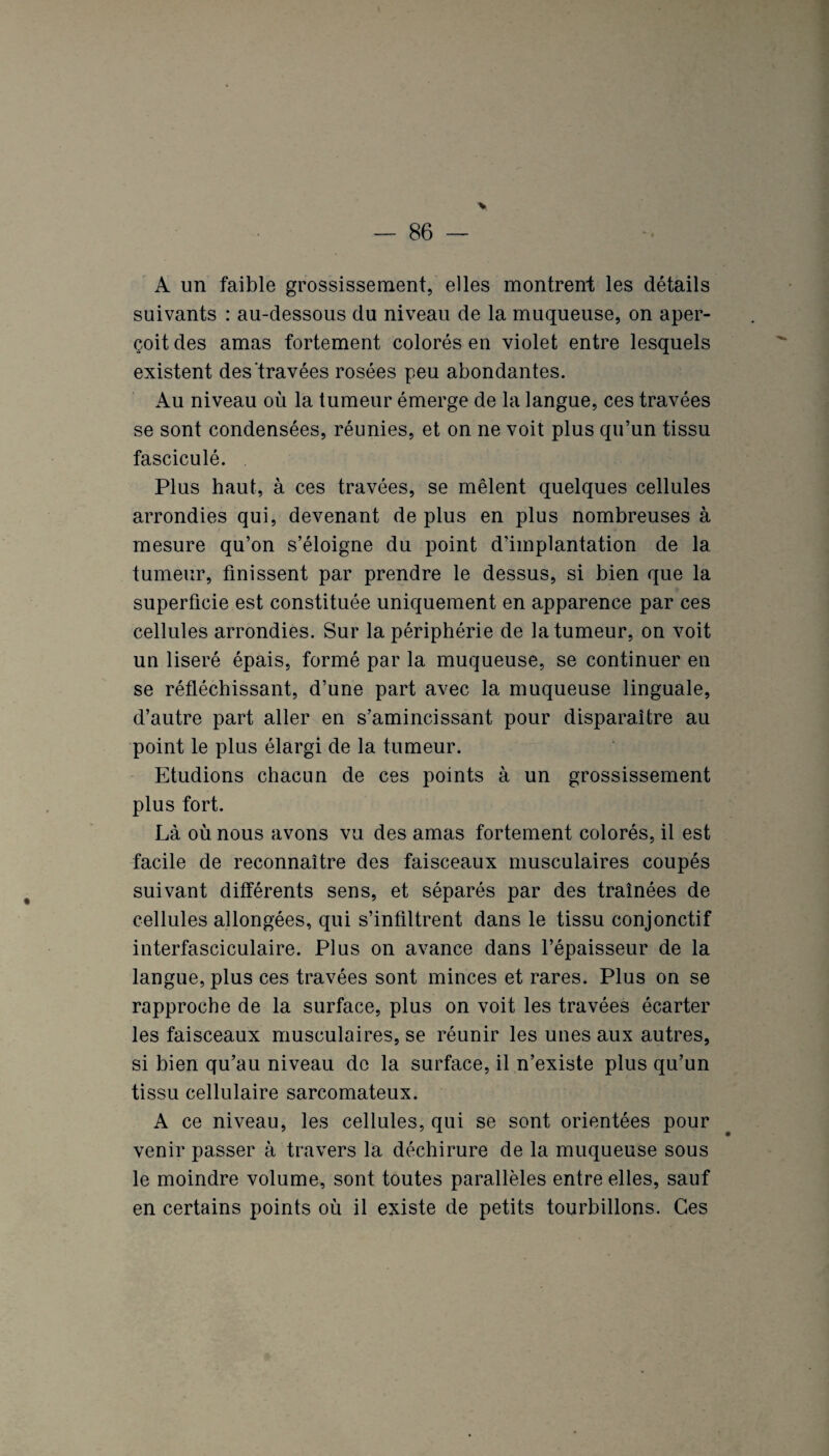 A un faible grossissement, elles montrent les détails suivants : au-dessous du niveau de la muqueuse, on aper¬ çoit des amas fortement colorés en violet entre lesquels existent des travées rosées peu abondantes. Au niveau où la tumeur émerge de la langue, ces travées se sont condensées, réunies, et on ne voit plus qu’un tissu fasciculé. Plus haut, à ces travées, se mêlent quelques cellules arrondies qui, devenant de plus en plus nombreuses à mesure qu’on s’éloigne du point d’implantation de la tumeur, finissent par prendre le dessus, si bien que la superficie est constituée uniquement en apparence par ces cellules arrondies. Sur la périphérie de la tumeur, on voit un liseré épais, formé par la muqueuse, se continuer en se réfléchissant, d’une part avec la muqueuse linguale, d’autre part aller en s’amincissant pour disparaître au point le plus élargi de la tumeur. Etudions chacun de ces points à un grossissement plus fort. Là où nous avons vu des amas fortement colorés, il est facile de reconnaître des faisceaux musculaires coupés suivant différents sens, et séparés par des traînées de cellules allongées, qui s’infiltrent dans le tissu conjonctif interfasciculaire. Plus on avance dans l’épaisseur de la langue, plus ces travées sont minces et rares. Plus on se rapproche de la surface, plus on voit les travées écarter les faisceaux musculaires, se réunir les unes aux autres, si bien qu’au niveau de la surface, il n’existe plus qu’un tissu cellulaire sarcomateux. A ce niveau, les cellules, qui se sont orientées pour venir passer à travers la déchirure de la muqueuse sous le moindre volume, sont toutes parallèles entre elles, sauf en certains points où il existe de petits tourbillons. Ces