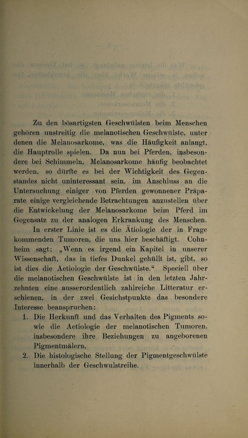 Zu den bösartigsten Geschwülsten beim Menschen gehören unstreitig die melanotischen Geschwülste, unter denen die Melanosarkome, was die Häufigkeit anlangt, die Hauptrolle spielen. Da nun bei Pferden, insbeson¬ dere bei Schimmeln, Melanosarkome häufig beobachtet werden, so dürfte es bei der Wichtigkeit des Gegen¬ standes nicht uninteressant sein, im Anschluss an die Untersuchung einiger von Pferden gewonnener Präpa¬ rate einige vergleichende Betrachtungen anzustellen über die Entwickelung der Melanosarkome beim Pferd im Gegensatz zu der analogen Erkrankung des Menschen. In erster Linie ist es die Ätiologie der in Frage kommenden Tumoren, die uns hier beschäftigt. Cohn¬ heim sagt: „Wenn es irgend ein Kapitel in unserer Wissenschaft, das in tiefes Dunkel gehüllf ist, gibt, so ist dies die Aetiologie der Geschwülste.“ Speciell über die melanotischen Geschwülste ist in den letzten Jahr¬ zehnten eine ausserordentlich zahlreiche Litteratur er¬ schienen, in der zwei Gesichstpunkte das besondere Interesse beanspruchen: 1. Die Herkunft und das Verhalten des Pigments so¬ wie die Aetiologie der melanotischen Tumoren, insbesondere ihre Beziehungen zu angeborenen Pigmentmälern, 2. Die histologische Stellung der Pigmentgeschwülste innerhalb der Geschwulstreihe.