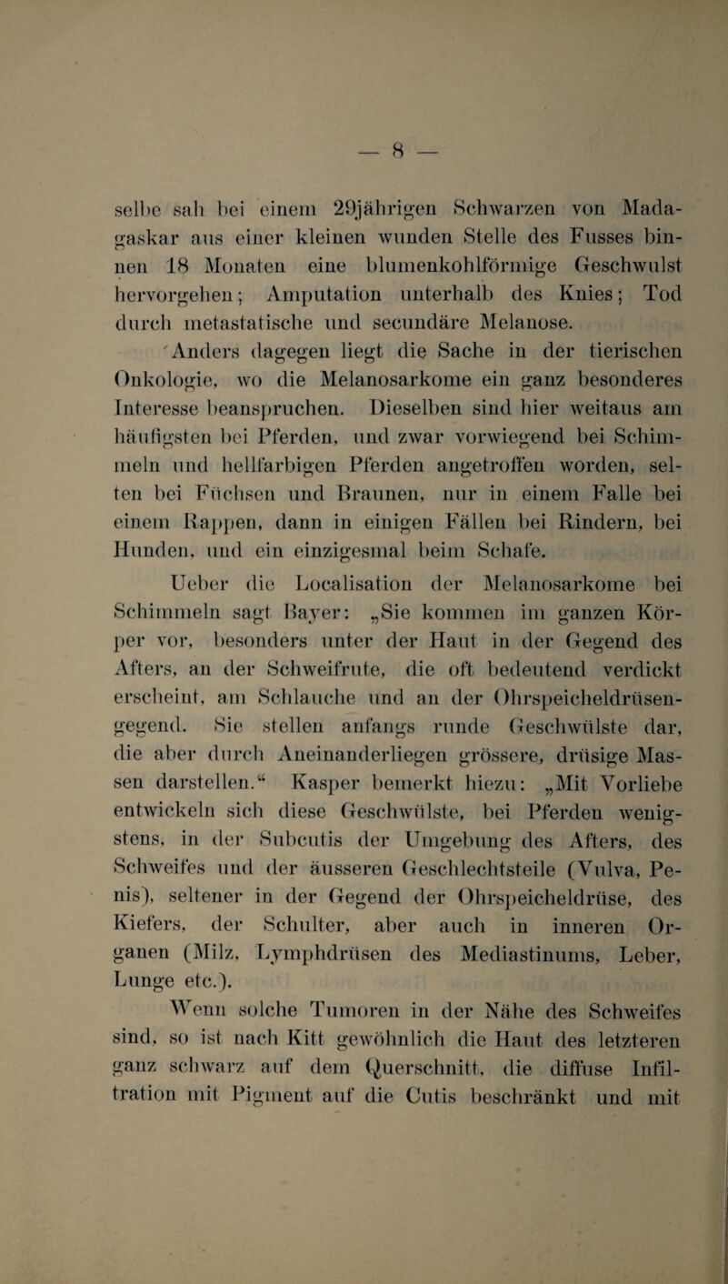 selbe sah bei einem 29jährigen Schwarzen von Mada¬ gaskar aus einer kleinen wunden Stelle des Fusses bin- neu 18 Monaten eine blumenkohlförmige Geschwulst hervorgehen; Amputation unterhalb des Knies; Tod durch metastatische und secundäre Melanose. Anders dagegen liegt die Sache in der tierischen Onkologie, wo die Melanosarkome ein ganz besonderes Interesse beanspruchen. Dieselben sind hier weitaus am häufigsten bei Pferden, und zwar vorwiegend bei Schim¬ meln und hellfarbigen Pferden angetroffen worden, sel¬ ten bei Füchsen und Braunen, nur in einem Falle bei einem Rappen, dann in einigen Fällen bei Rindern, bei Hunden, und ein einzigesmal beim Schafe. Ueber die Localisation der Melanosarkome bei Schimmeln sagt Bayer: „Sie kommen im ganzen Kör¬ per vor, besonders unter der Haut in der Gegend des Afters, an der Schweifrute, die oft bedeutend verdickt erscheint, am Schlauche und an der Ohrspeicheldrüsen¬ gegend. Sie stellen anfangs runde Geschwülste dar, die aber durch Aneinanderliegen grössere, drüsige Mas¬ sen darstellen.“ Kasper bemerkt hiezu: „Mit Vorliebe entwickeln sich diese Geschwülste, bei Pferden wenig¬ stens, in der Subcutis der Umgebung des Afters, des Schweifes und der äusseren Geschlechtsteile (Vulva, Pe¬ nis), seltener in der Gegend der Ohrspeicheldrüse, des Kielers, der Schulter, aber auch in inneren Or¬ ganen (Milz, Lymphdrüsen des Mediastinums, Leber, Lunge etc.). Wenn solche Tumoren in der Nähe des Schweifes sind, so ist nach Kitt gewöhnlich die Haut des letzteren ganz schwarz auf dem Querschnitt, die diffuse Infil¬ tration mit Pigment auf die Cutis beschränkt und mit