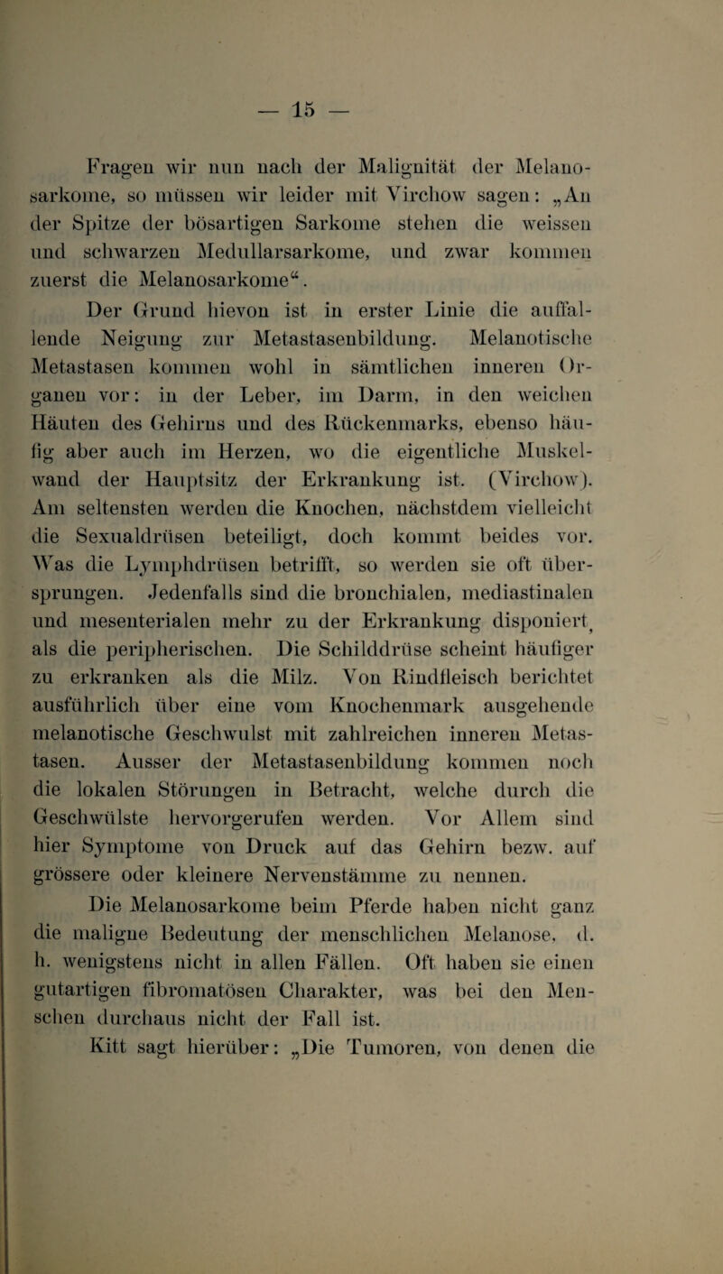 Fragen wir nun nach der Malignität der Melano- o o sarkome, so müssen wir leider mit Virchow sagen: „An der Spitze der bösartigen Sarkome stellen die weissen und schwarzen Medullarsarkome, und zwar kommen zuerst die Melanosarkome“. Der Grund hievon ist in erster Linie die auffal¬ lende Neigung zur Metastasenbildung. Melanotische Metastasen kommen wohl in sämtlichen inneren Or¬ ganen vor: in der Leber, im Darm, in den weichen Häuten des Gehirns und des Rückenmarks, ebenso häu¬ tig aber auch im Herzen, wo die eigentliche Muskel¬ wand der Hauptsitz der Erkrankung ist. (Virchow). Am seltensten werden die Knochen, nächstdem vielleicht die Sexualdrüsen beteiligt, doch kommt beides vor. Was die Lymphdrüsen betrifft, so werden sie oft über¬ sprungen. Jedenfalls sind die bronchialen, mediastinalen und mesenterialen mehr zu der Erkrankung disponiertf als die peripherischen. Die Schilddrüse scheint häutiger zu erkranken als die Milz. Von Rindfleisch berichtet ausführlich über eine vom Knochenmark ausgehende melanotische Geschwulst mit zahlreichen inneren Metas¬ tasen. Ausser der Metastasenbildung kommen noch die lokalen Störungen in Betracht, welche durch die Geschwülste hervorgerufen werden. Vor Allem sind hier Symptome von Druck auf das Gehirn bezw. auf grössere oder kleinere Nervenstämme zu nennen. Die Melanosarkome beim Pferde haben nicht ganz die maligne Bedeutung der menschlichen Melanose, d. h. wenigstens nicht in allen Fällen. Oft haben sie einen gutartigen fibromatösen Charakter, was bei den Men¬ schen durchaus nicht der Fall ist. Kitt sagt hierüber: „Die Tumoren, von denen die