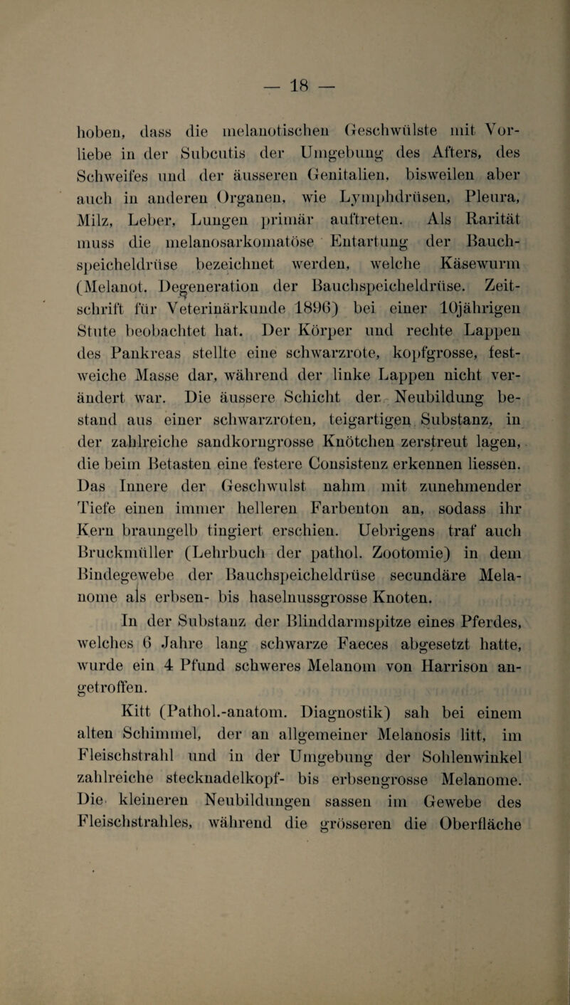 hoben, dass die nielanotischen Geschwülste mit Vor¬ liebe in der Subcutis der Umgebung des Afters, des Schweifes und der äusseren Genitalien, bisweilen aber auch in anderen Organen, wie Lymphdrüsen, Pleura, Milz, Leber, Lungen primär auftreten. Als Rarität muss die melanosarkomatöse Entartung der Bauch¬ speicheldrüse bezeichnet werden, welche Käsewurm (Melanot. Degeneration der Bauchspeicheldrüse. Zeit¬ schrift für Veterinärkunde 1896) bei einer 10jährigen Stute beobachtet hat. Der Körper und rechte Lappen des Pankreas stellte eine schwarzrote, kopfgrosse, fest- weiche Masse dar, während der linke Lappen nicht ver¬ ändert war. Die äussere Schicht der Neubildung be¬ stand aus einer schwarzroten, teigartigen Substanz, in der zahlreiche sandkorngrosse Knötchen zerstreut lagen, die beim Betasten eine festere Consistenz erkennen liessen. Das Innere der Geschwulst nahm mit zunehmender Tiefe einen immer helleren Farbenton an, sodass ihr Kern braungelb fingiert erschien. Uebrigens traf auch Bruckmüller (Lehrbuch der patliol. Zootomie) in dem Bindegewebe der Bauchspeicheldrüse secundäre Mela¬ nome als erbsen- bis haselnussgrosse Knoten. In der Substanz der Blinddarmspitze eines Pferdes, welches 6 Jahre lang schwarze Faeces abgesetzt hatte, wurde ein 4 Pfund schweres Melanom von Harrison äu¬ get r offen. Kitt (Pathol.-anatom. Diagnostik) sah bei einem alten Schimmel, der an allgemeiner Melanosis litt, im Fleischstrahl und in der Umgebung der Sohlenwinkel zahlreiche stecknadelkopf- bis erbsengrosse Melanome. Die kleineren Neubildungen sassen im Gewebe des Fleischstrahles, während die grösseren die Oberfläche