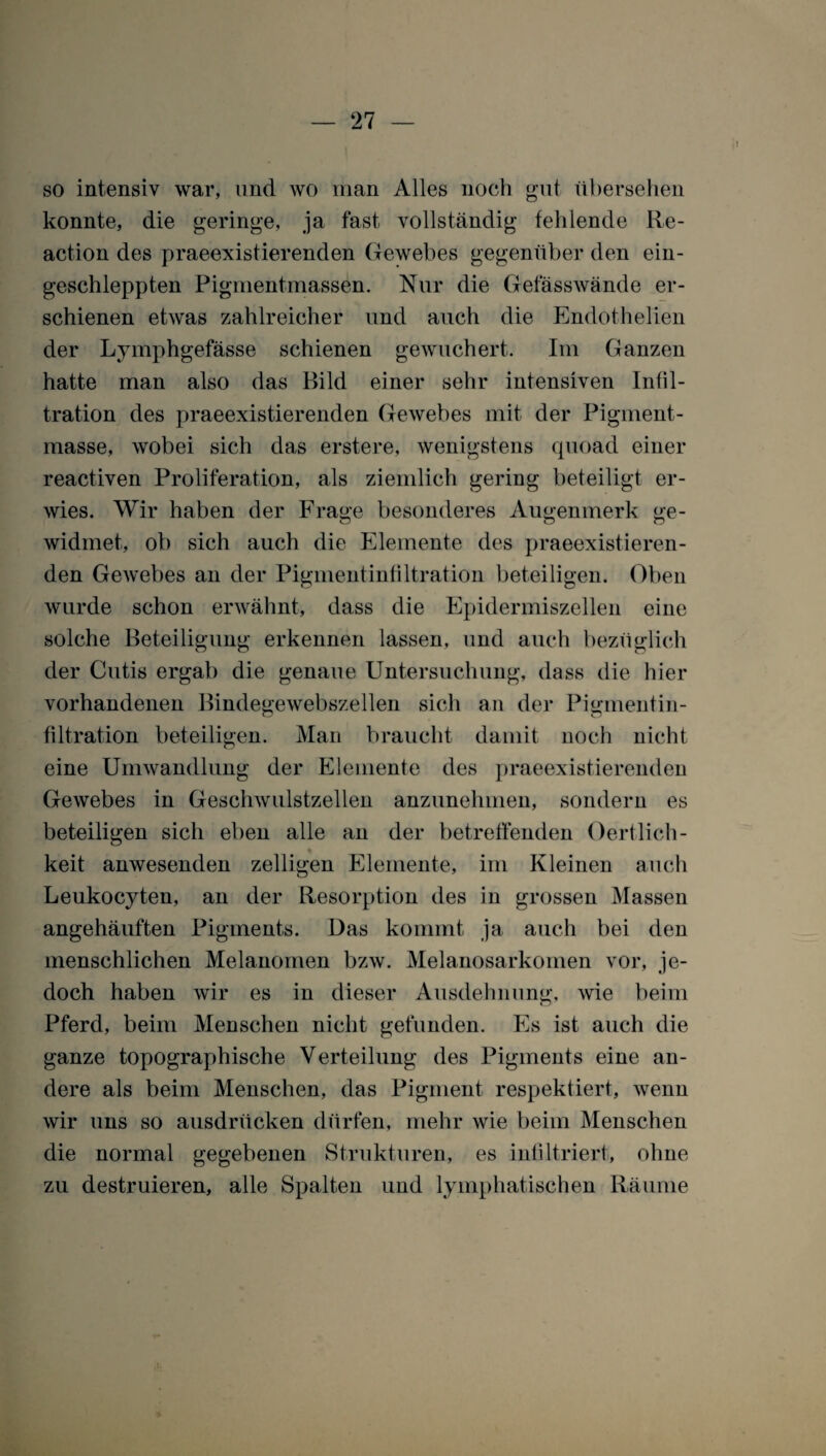 so intensiv war, und wo man Alles noch gut übersehen konnte, die geringe, ja fast vollständig fehlende Re- action des praeexistierenden Gewebes gegenüber den ein- geschleppten Pigmentmassen. Nur die Gefässwände er¬ schienen etwas zahlreicher und auch die Endothelien der Lymphgefässe schienen gewuchert. Im Ganzen hatte man also das Bild einer sehr intensiven Infil¬ tration des praeexistierenden Gewebes mit der Pigment¬ masse, wobei sich das erstere, wenigstens quoad einer reactiven Proliferation, als ziemlich gering beteiligt er¬ wies. Wir haben der Frage besonderes Augenmerk ge¬ widmet, ob sich auch die Elemente des praeexistieren¬ den Gewebes an der Pigmentinfiltration beteiligen. Oben wurde schon erwähnt, dass die Epidermiszellen eine solche Beteiligung erkennen lassen, und auch bezüglich der Cutis ergab die genaue Untersuchung, dass die hier vorhandenen Bindegewebszellen sich an der Pigmentin¬ filtration beteiligen. Man braucht damit noch nicht eine Umwandlung der Elemente des praeexistierenden Gewebes in Geschwulstzellen anzunehmen, sondern es beteiligen sich eben alle an der betreffenden Oertlich- keit anwesenden zeitigen Elemente, im Kleinen auch Leukocyten, an der Resorption des in grossen Massen angehäuften Pigments. Das kommt ja auch bei den menschlichen Melanomen bzw. Melanosarkomen vor, je¬ doch haben wir es in dieser Ausdehnung, wie beim Pferd, beim Menschen nicht gefunden. Es ist auch die ganze topographische Verteilung des Pigments eine an¬ dere als beim Menschen, das Pigment respektiert, wenn wir uns so ausdrücken dürfen, mehr wie beim Menschen die normal gegebenen Strukturen, es infiltriert, ohne zu destruieren, alle Spalten und lymphatischen Räume