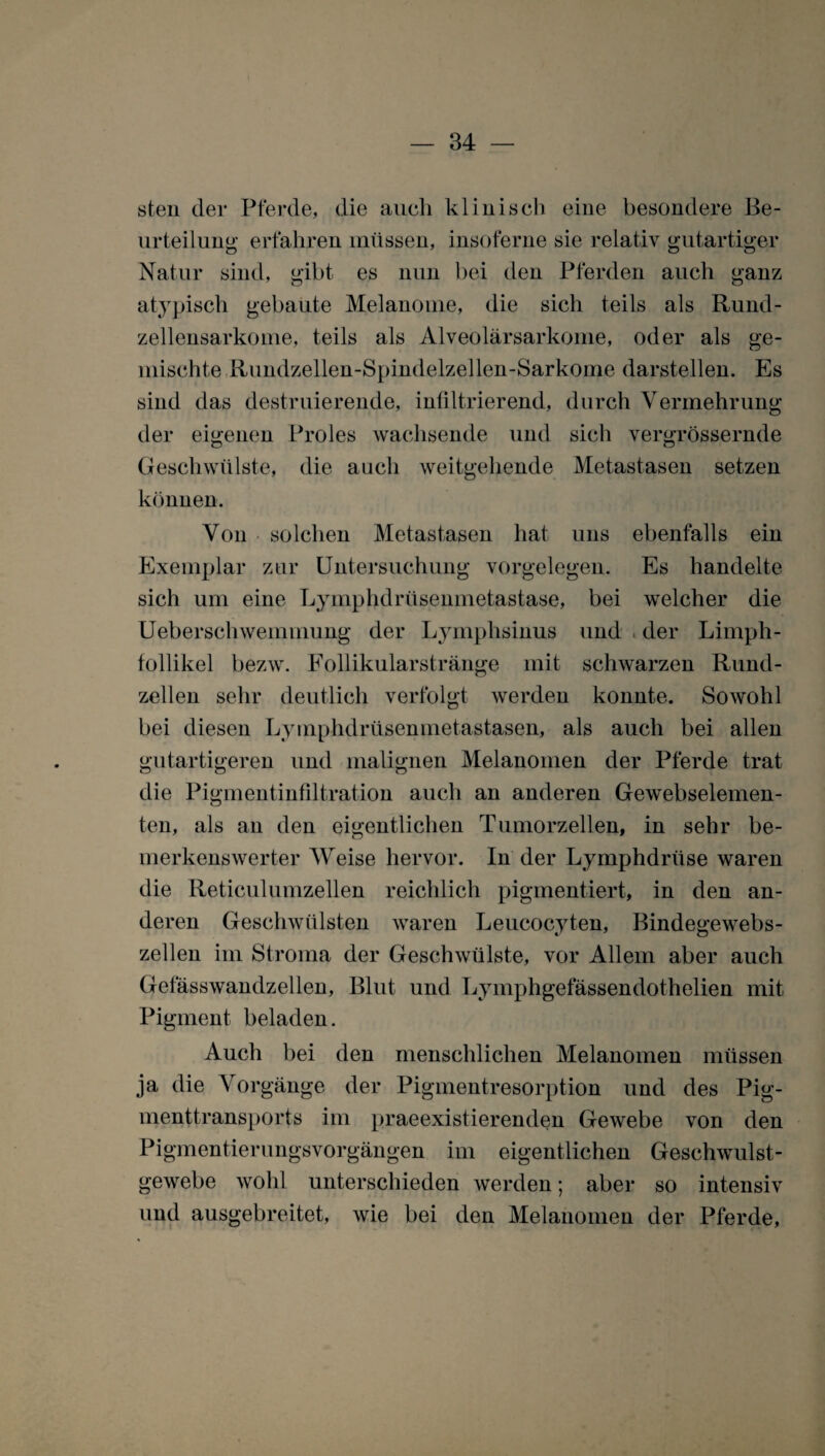 steil der Pferde, die auch kliuiscli eine besondere Be¬ urteilung erfahren müssen, insoferne sie relativ gutartiger Natur sind, gibt es nun bei den Pferden auch ganz atypisch gebaute Melanome, die sich teils als Rund¬ zellensarkome, teils als Alveolärsarkome, oder als ge¬ mischte Rundzellen-Spindelzellen-Sarkome darstellen. Es sind das destruierende, infiltrierend, durch Vermehrung der eigenen Proles wachsende und sich vergrössernde o O Geschwülste, die auch weitgehende Metastasen setzen können. Von solchen Metastasen hat uns ebenfalls ein Exemplar zur Untersuchung Vorgelegen. Es handelte sich um eine Lymphdrüsenmetastase, bei welcher die Ueberschwemmung der Lymphsinus und . der Limph- follikel bezw. Follikularstränge mit schwarzen Rund¬ zellen sehr deutlich verfolgt werden konnte. Sowohl bei diesen Lymphdrüsenmetastasen, als auch bei allen gutartigeren und malignen Melanomen der Pferde trat die Pigmentinfiltration auch an anderen Gewebselemen- ten, als an den eigentlichen Tumorzellen, in sehr be¬ merkenswerter Weise hervor. In der Lymphdrtise waren die Reticulumzellen reichlich pigmentiert, in den an¬ deren Geschwülsten waren Leucocyten, Bindegewebs¬ zellen im Stroma der Geschwülste, vor Allem aber auch Gefässwandzellen, Blut und Lymphgefässendothelien mit Pigment beladen. Auch bei den menschlichen Melanomen müssen ja die Vorgänge der Pigmentresorption und des Pig¬ menttransports im praeexistierenden Gewebe von den Pigmentierungsvorgängen im eigentlichen Geschwulst¬ gewebe wohl unterschieden werden; aber so intensiv und ausgebreitet, wie bei den Melanomen der Pferde,