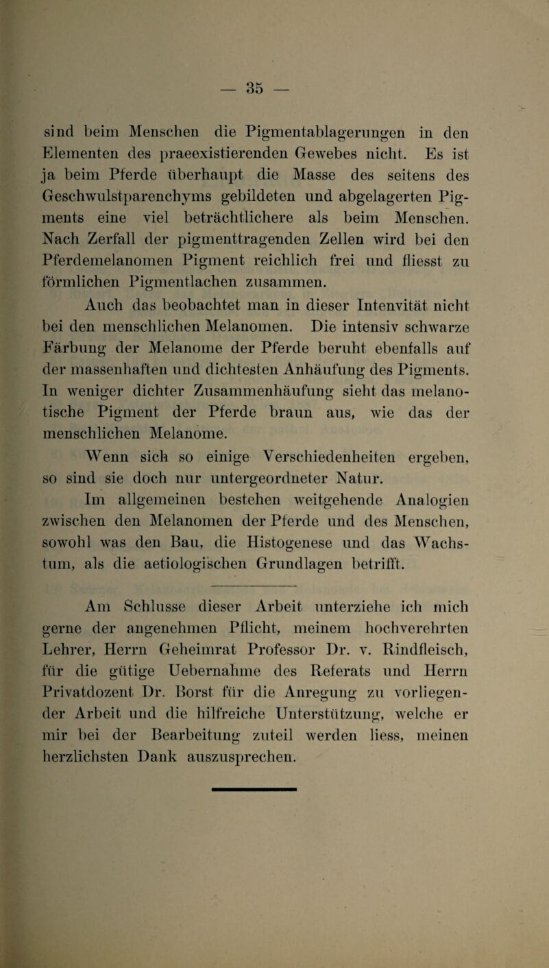 sind beim Menschen die Pigmentablagerungen in den Elementen des praeexistierenden Gewebes nicht. Es ist ja beim Pferde überhaupt die Masse des seitens des Geschwulstparenchyms gebildeten und abgelagerten Pig¬ ments eine viel beträchtlichere als beim Menschen. Nach Zerfall der pigmenttragenden Zellen wird bei den Pferdemelanomen Pigment reichlich frei und fliesst. zu förmlichen Pigmentlachen zusammen. Auch das beobachtet man in dieser Intenvität nicht bei den menschlichen Melanomen. Die intensiv schwarze Färbung der Melanome der Pferde beruht ebenfalls auf der massenhaften und dichtesten Anhäufung des Pigments. In weniger dichter Zusammenhäufung sieht das melano- tische Pigment der Pferde braun aus, wie das der menschlichen Melanome. Wenn sich so einige Verschiedenheiten ergeben, so sind sie doch nur untergeordneter Natur. Im allgemeinen bestehen weitgehende Analogien zwischen den Melanomen der Pferde und des Menschen, sowohl was den Bau, die Histogenese und das Wachs¬ tum, als die aetiologischen Grundlagen betrifft. Am Schlüsse dieser Arbeit unterziehe ich mich gerne der angenehmen Pflicht, meinem hochverehrten Lehrer, Herrn Geheimrat Professor Dr. v. Rindfleisch, für die gütige Uebernahme des Referats und Herrn Privatdozent Dr. Borst für die Anregung zu vorliegen¬ der Arbeit und die hilfreiche Unterstützung, welche er mir bei der Bearbeitung zuteil werden liess, meinen herzlichsten Dank auszusprechen.