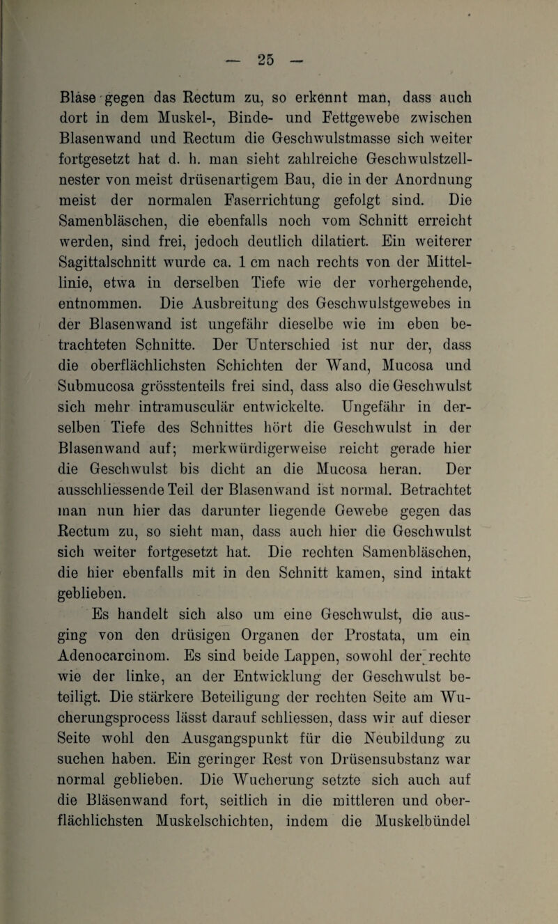 Blase gegen das Rectum zu, so erkennt man, dass auch dort in dem Muskel-, Binde- und Fettgewebe zwischen Blasenwand und Rectum die Geschwulstmasse sich weiter fortgesetzt hat d. h. man sieht zahlreiche Geschwulstzell¬ nester von meist drüsenartigem Bau, die in der Anordnung meist der normalen Faserrichtung gefolgt sind. Die Samenbläschen, die ebenfalls noch vom Schnitt erreicht werden, sind frei, jedoch deutlich dilatiert. Ein weiterer Sagittalschnitt wurde ca. 1 cm nach rechts von der Mittel¬ linie, etwa in derselben Tiefe wie der vorhergehende, entnommen. Die Ausbreitung des Geschwulstgewebes in der Blasenwand ist ungefähr dieselbe wie im eben be¬ trachteten Schnitte. Der Unterschied ist nur der, dass die oberflächlichsten Schichten der Wand, Mucosa und Submucosa grösstenteils frei sind, dass also die Geschwulst sich mehr intramusculär entwickelte. Ungefähr in der¬ selben Tiefe des Schnittes hört die Geschwulst in der Blasenwand auf; merkwürdigerweise reicht gerade hier die Geschwulst bis dicht an die Mucosa heran. Der ausschliessende Teil der Blasenwand ist normal. Betrachtet man nun hier das darunter liegende Gewebe gegen das Rectum zu, so sieht man, dass auch hier die Geschwulst sich weiter fortgesetzt hat. Die rechten Samenbläschen, die hier ebenfalls mit in den Schnitt kamen, sind intakt geblieben. Es handelt sich also um eine Geschwulst, die aus¬ ging von den drüsigen Organen der Prostata, um ein Adenocarcinom. Es sind beide Lappen, sowohl der rechte wie der linke, an der Entwicklung der Geschwulst be¬ teiligt. Die stärkere Beteiligung der rechten Seite am Wu- cherungsprocess lässt darauf schliessen, dass wir auf dieser Seite wohl den Ausgangspunkt für die Neubildung zu suchen haben. Ein geringer Rest von Drüsensubstanz war normal geblieben. Die Wucherung setzte sich auch auf die Bläsenwand fort, seitlich in die mittleren und ober¬ flächlichsten Muskelschichten, indem die Muskelbündel