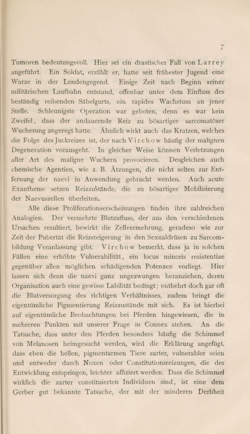 Tumoren bedeutungsvoll. Hier sei ein drastischer Fall von Larrey angeführt. Ein Soldat, erzählt er, hatte seit frühester Jugend eine Warze in der Lendengegend. Einige Zeit nach Beginn seiner militärischen Laufbahn entstand, offenbar unter dem Einfluss des beständig reibenden Säbelgurts, ein rapides Wachstum an jener Stelle. Schleunigste Operation war geboten, denn es war kein Zweifel, dass der andauernde Reiz zu bösartiger sarcomatöser Wucherung angeregt hatte. Ähnlich wirkt auch das Kratzen, welches die Folge des Juckreizes ist, der nach Vir chow häufig der malignen Degeneration vorausgeht. In gleicher Weise können Verletzungen aller Art des maligne Wuchern provocieren. Desgleichen auch chemische Agentien, wie z. B. Ätzungen, die nicht selten zur Ent¬ fernung der naevi in Anwendung gebracht werden. Auch acute Exantheme setzen Reizzustände, die zu bösartiger Mobilisierung der Naevuszellen überleiten. Alle diese Proliferationserscheinungen finden ihre zahlreichen Analogien. Der vermehrte Blutzufluss, der aus den verschiedenen Ursachen resultiert, bewirkt die Zellvermehrung, geradeso wie zur Zeit der Pubertät die Reizsteigerung in den Sexualdrüsen zu Sarcom- bildung Veranlassung gibt. Virchow bemerkt, dass ja in solchen Fällen eine erhöhte Vulnerabilität, ein locus minoris resistentiae gegenüber allen möglichen schädigenden Potenzen vorliegt. Hier lassen sich denn die naevi ganz ungezwungen heranziehen, deren Organisation auch eine gewisse Labilität bedingt; entbehrt doch gar oft die Blutversorgung des richtigen Verhältnisses, zudem bringt die eigentümliche Pigmentierung Reizzustände mit sich. Es ist hierbei auf eigentümliche Beobachtungen bei Pferden hingewiesen, die in mehreren Punkten mit unserer Frage in Connex stehen. An die Tatsache, dass unter den Pferden besonders häufig die Schimmel von Melanosen heimgesucht werden, wird die Erklärung angefügt, dass eben die hellen, pigmentarmen Tiere zarter, vulnerabler seien und entweder durch Noxen oder Constitutionsreizungen, die der Entwicklung entspringen, leichter affiziert werden. Dass die Schimmel wirklich die zarter constituierten Individuen sind, ist eine dem Gerber gut bekannte Tatsache, der mit der minderen Derbheit