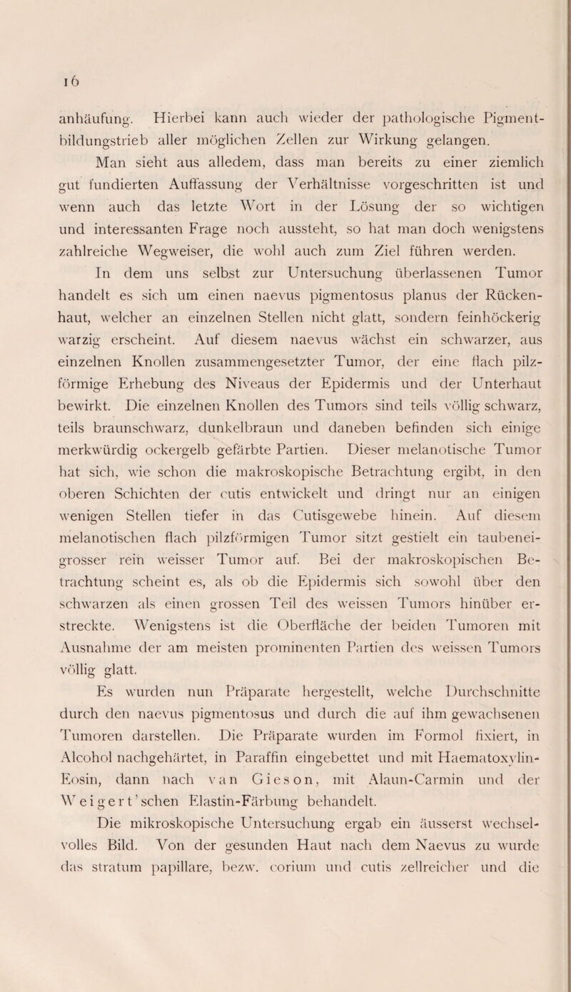 anhäufung. Hierbei kann auch wieder der pathologische Pigment¬ bildungstrieb aller möglichen Zellen zur Wirkung gelangen. Man sieht aus alledem, dass man bereits zu einer ziemlich gut fundierten Auffassung der A'erhältnisse vorgeschritten ist und wenn auch das letzte Wort in der Lösung der so wichtigen und interessanten Frage noch aussteht, so hat man doch wenigstens zahlreiche Wegweiser, die wohl auch zum Ziel führen werden. In dem uns selbst zur Untersuchung überlassenen Tumor handelt es sich um einen naevus pigmentosus planus der Rücken¬ haut, welcher an einzelnen Stellen nicht glatt, sondern feinhöckerig warzig erscheint. Auf diesem naevus wächst ein schwarzer, aus einzelnen Knollen zusammengesetzter Tumor, der eine Hach pilz¬ förmige Erhebung des Niveaus der Epidermis und der Unterhaut bewirkt. Die einzelnen Knollen des Tumors sind teils völlig schwarz, teils braunschwarz, dunkelbraun und daneben befinden sich einige merkwürdig ockergelb gefärbte Partien. Dieser melanotische Tumor hat sich, wie schon die makroskopische Betrachtung ergibt, in den oberen Schichten der cutis entwickelt und dringt nur an einigen wenigen Stellen tiefer in das Cutisgewebe hinein. Auf diesem melanotischen flach pilzförmigen Tumor sitzt gestielt ein taubenei¬ grosser rein weisser Tumor auf. Bei der makroskopischen Be¬ trachtung scheint es, als ob die Epidermis sich sowohl über den schwarzen als einen grossen Teil des weissen Tumors hinüber er¬ streckte. Wenigstens ist die Oberfläche der beiden Tumoren mit Ausnahme der am meisten prominenten Partien des weissen Tumors völlig glatt. Es wurden nun Präparate hergestellt, welche Durchschnitte durch den naevus pigmentosus und durch die auf ihm gewachsenen Tumoren darstellen. Die Präparate wurden im Formol fixiert, in Alcohol nachgehärtet, in Paraffin eingebettet und mit Haematoxylin- Eosin, dann nach van Gieson, mit Alaun-Carmin und der W e i g e r t1 sehen El astin-Färbung behandelt. Die mikroskopische Untersuchung ergab ein äusserst wechsel- volles Bild. Von der gesunden Haut nach dem Naevus zu wurde das stratum papillare, bezw. coriiun und cutis zellreicher und die