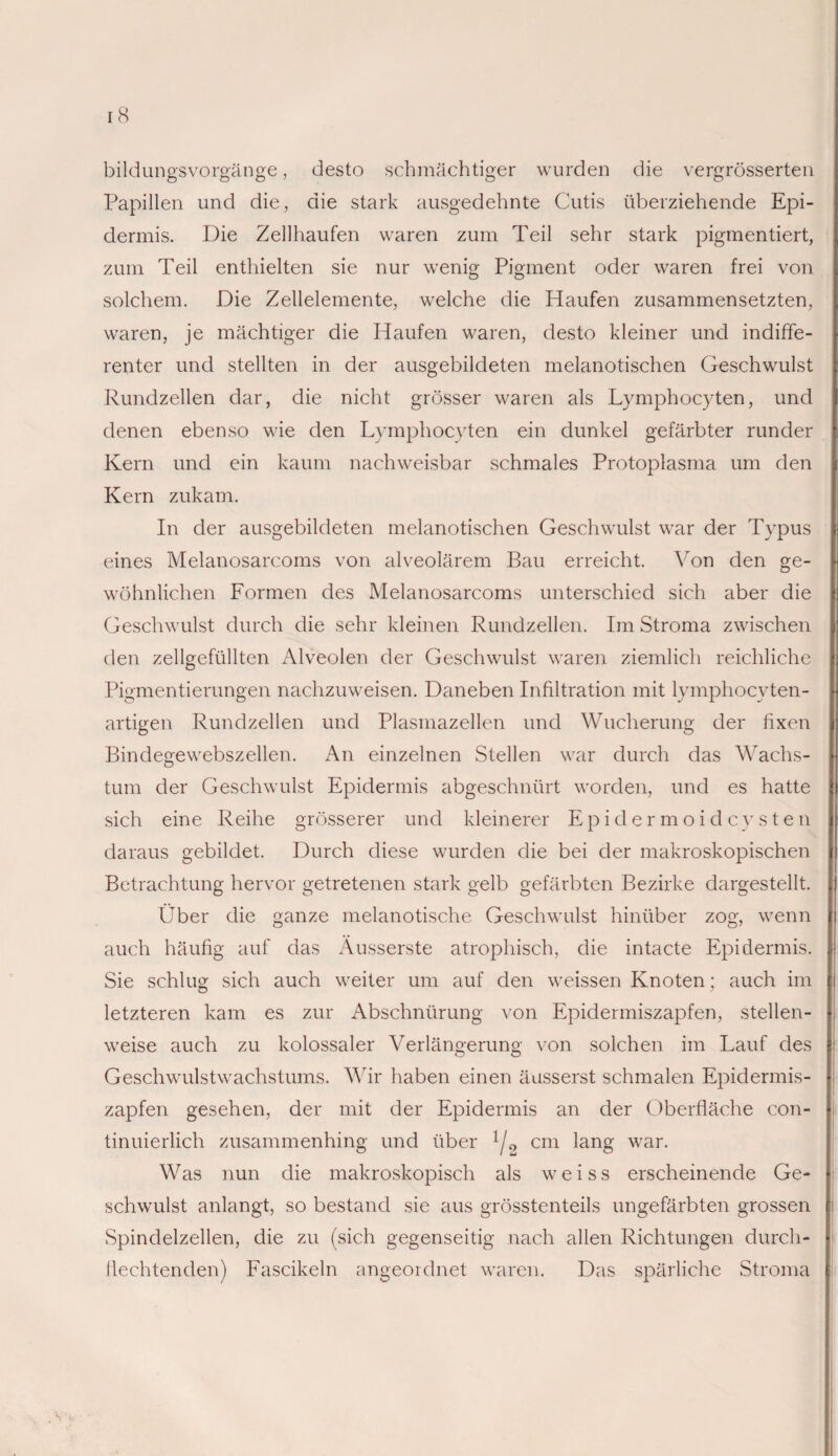 bildungsvorgänge, desto schmächtiger wurden die vergrösserten Papillen und die, die stark ausgedehnte Cutis überziehende Epi¬ dermis. Die Zellhaufen waren zum Teil sehr stark pigmentiert, zum Teil enthielten sie nur wenig Pigment oder waren frei von solchem. Die Zellelemente, welche die Haufen zusammensetzten, waren, je mächtiger die Haufen waren, desto kleiner und indiffe¬ renter und stellten in der ausgebildeten melanotischen Geschwulst Rundzellen dar, die nicht grösser waren als Lymphocyten, und denen ebenso wie den Lymphocyten ein dunkel gefärbter runder Kern und ein kaum nachweisbar schmales Protoplasma um den Kern zukam. In der ausgebildeten melanotischen Geschwulst war der Typus eines Melanosarcoms von alveolärem Bau erreicht. Von den ge¬ wöhnlichen Formen des Melanosarcoms unterschied sich aber die Geschwulst durch die sehr kleinen Rundzellen. Im Stroma zwischen den zellgefüllten Alveolen der Geschwulst waren ziemlich reichliche Pigmentierungen nachzuweisen. Daneben Infiltration mit lymphocvten- artigen Rundzellen und Plasmazellen und Wucherung der fixen Bindegewebszellen. An einzelnen Stellen war durch das Wachs¬ tum der Geschwulst Epidermis abgeschnürt worden, und es hatte sich eine Reihe grösserer und kleinerer Epidermoidcysten daraus gebildet. Durch diese wurden die bei der makroskopischen Betrachtung hervor getretenen stark gelb gefärbten Bezirke dargestellt. Über die ganze melanotische Geschwulst hinüber zog, wenn auch häufig auf das Äusserste atrophisch, die intacte Epidermis. Sie schlug sich auch weiter um auf den weissen Knoten; auch im letzteren kam es zur Abschnürung von Epidermiszapfen, stellen¬ weise auch zu kolossaler Verlängerung von solchen im Lauf des Geschwulstwachstums. Wir haben einen äusserst schmalen Epidermis¬ zapfen gesehen, der mit der Epidermis an der Oberfläche con- tinuierlich zusammenhing und über J/2 cm lang war. Was nun die makroskopisch als weiss erscheinende Ge¬ schwulst anlangt, so bestand sie aus grösstenteils ungefärbten grossen Spindelzellen, die zu (sich gegenseitig nach allen Richtungen durch¬ flechtenden) Fascikeln angeordnet waren. Das spärliche Stroma