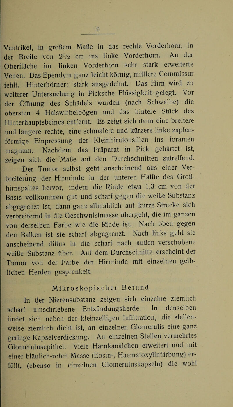 Ventrikel, in großem Maße in das rechte Vorderhorn, in der Breite von 2V2 cm ins linke Vorderhorn. An der Oberfläche im linken Vorderhorn sehr stark erweiterte Venen. Das Ependyin ganz leicht körnig, mittlere Commissur fehlt. Hinterhörner: stark ausgedehnt. Das Hirn wird zu weiterer Untersuchung in Picksche Flüssigkeit gelegt. Vor der Öffnung des Schädels wurden (nach Schwalbe) die obersten 4 Halswirbelbögen und das hintere Stück des Hinterhauptsbeines entfernt. Es zeigt sich dann eine breitere und längere rechte, eine schmälere und kürzere linke zapfen¬ förmige Einpressung der Kleinhirntonsillen ins foramen magnum. Nachdem das Präparat in Pick gehärtet ist, zeigen sich die Maße auf den Durchschnitten zutreffend. Der Tumor selbst geht anscheinend aus einer Ver¬ breiterung der Hirnrinde in der unteren Hälfte des Groß¬ hirnspaltes hervor, indem die Rinde etwa 1,3 cm von der Basis vollkommen gut und scharf gegen die weiße Substanz abgegrenzt ist, dann ganz allmählich auf kurze Strecke sich verbreiternd in die Geschwulstmasse übergeht, die im ganzen von derselben Farbe wie die Rinde ist. Nach oben gegen den Balken ist sie scharf abgegrenzt. Nach links geht sie anscheinend diffus in die scharf nach außen verschobene weiße Substanz über. Auf dem Durchschnitte erscheint der Tumor von der Farbe der Hirnrinde mit einzelnen gelb¬ lichen Herden gesprenkelt. Mikroskopischer Befund. In der Nierensubstanz zeigen sich einzelne ziemlich scharf umschriebene Entzündungsherde. In denselben findet sich neben der kleinzelligen Infiltration, die stellen¬ weise ziemlich dicht ist, an einzelnen Glomerulis eine ganz geringe Kapselverdickung. An einzelnen Stellen vermeintes Glomerulusepithel. Viele Harnkanälchen erweitert und mit einer bläulich-roten Masse (Eosin-, Haematoxylinfärbung) er¬ füllt, (ebenso in einzelnen Glomeruluskapseln) die wohl