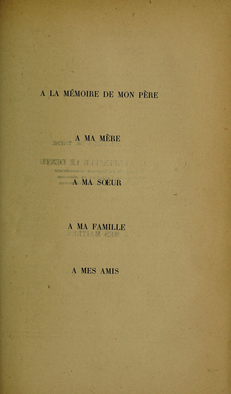 A LA MÉMOIRE DE MON PÈRE , A MA MÈRE 'A • t **•••. • t « •- . v- : , , ; .1 mmm mi tm . - -* i? IQ; :}k..*A-.y?9\- : -’.r> \ '• wé A MA SŒUR A MA FAMILLE v ■ - * I ■■ i : ‘S itl A MES AMIS ••. . I i j