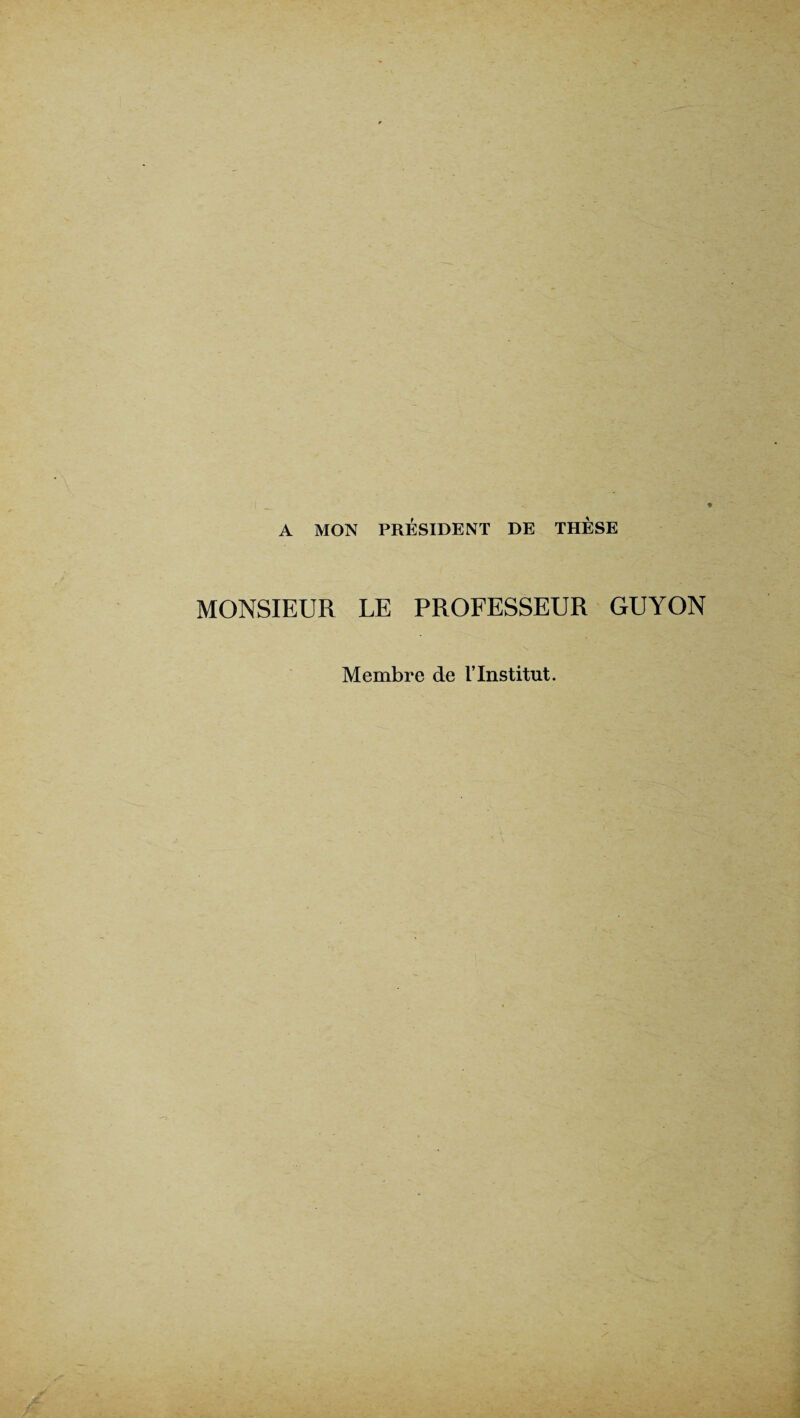 A MON PRÉSIDENT DE THÈSE MONSIEUR LE PROFESSEUR GUYON Membre de l’Institut.