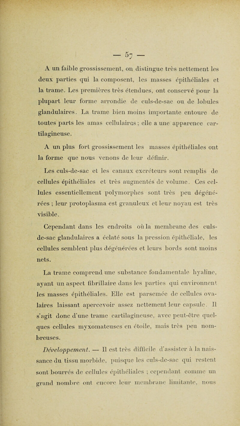 A un faible grossissement, on distingue très nettement les deux parties qui la composent, les masses épithéliales et la trame. Les premières très étendues, ont conservé pour la plupart leur forme arrondie de culs-de-sac ou de lobules glandulaires. La trame bien moins importante entoure de toutes parts les amas cellulaires ; elle a une apparence car¬ tilagineuse. A un plus fort grossissement les masses épithéliales ont la forme que nous venons de leur définir. Les culs-de-sac et les canaux excréteurs sont remplis de cellules épithéliales et très augmentés de volume. Ces cel¬ lules essentiellement polymorphes sont très peu dégéné¬ rées ; leur protoplasma est granuleux et leur noyau est très visible. Cependant dans les endroits où la membrane des culs- de-sac glandulaires a éclaté sous la pression épithéliale, les cellules semblent plus dégénérées et leurs bords sont moins nets. La trame comprend une substance fondamentale hyaline, ayant un aspect fibrillaire dans les parties qui environnent les masses épithéliales. Elle est parsemée de cellules ova¬ laires laissant apercevoir assez nettement leur capsule. Il s’agit donc d’une trame cartilagineuse, avec peut-être quel¬ ques cellules myxomateuscs en étoile, mais très peu nom¬ breuses. Développement. — Il est très difficile d’assister à la nais¬ sance du tissu morbide, puisque les culs-de-sac qui restent sont bourrés de cellules épithéliales ; cependant comme un grand nombre ont encore leur membrane limitante, nous