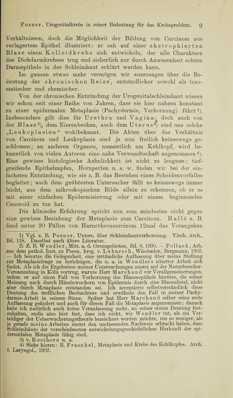 Verhältnissen, doch die Möglichkeit der Bildung von Carcinom aus verlagertem Epithel illustriert: er sah auf einer ekstrophierten Blase einen Kolloidkrebs sich entwickeln, der alle Charaktere des Dickdarmkrebses trug und sicherlich nur durch Anwesenheit echten Darmepithels in der Schleimhaut erklärt werden kann. Im ganzen etwas mehr vermögen wir auszusagen über die Be¬ deutung der chronischen Beize“, entzündlicher sowohl als trau¬ matischer und chemischer. Von der chronischen Entzündung der Urogenitalschleimhaut wissen wir schon seit einer Beihe von Jahren, dass sie hier nahezu konstant zu einer epidermalen Metaplasie (Pachydermie, Verhornung) führt1). Insbesondere gilt dies für Urethra und Vagina; doch auch von der Blase2), dem Nierenbecken, auch dem Uterus3) sind uns solche „L e u k o p 1 a s i e n “ wohlbekannt. Die Akten über das Verhältnis von Carcinom und Leukoplasie sind ja nun freilich keineswegs ge¬ schlossen; an anderen Organen, namentlich am Kehlkopf, wird be¬ kanntlich von vielen Autoren eine nahe Verwandtschaft angenommen4). Eine gewisse histologische Aehnlichkeit ist nicht zu leugnen; tief¬ greifende Epithelzapfen, Hornperlen u. s. w. finden wir bei der ein¬ fachsten Entzündung, wie sie z. B. das Bestehen eines Scheidenvorfalles begleitet; auch dem geübtesten Untersucher fällt es keineswegs immer leicht, aus dem mikroskopischen Bilde allein zu erkennen, ob er es mit einer einfachen Epidermisierung oder mit einem beginnenden Cancroid zu tun hat. Die klinische Erfahrung spricht nun zum mindesten nicht gegen eine gewisse Beziehung der Metaplasie zum Carcinom. Halle z. B. fand unter 20 Fällen von Harnröhrencarcinom 12mal das Vorangehen 1) Vgl. z. B. Posner, Unters, über Schleim haut verhornung. Virch. Arch., Bd. 118. Daselbst auch ältere Literatur. 2) Z. B. Wendler, Mitt. a. d. Grenzgebieten, Bd. 6, 1900. — Po Hack, Arb. aus dem pathol. Inst, zu Posen, hrsg. v. Lubarsch, Wiesbaden, Bergmann, 1902. — Ich benutze die Gelegenheit, eine irrtümliche Auffassung über meine Stellung zur Metaplasiefrage zu berichtigen, die u. a. in Wendlers zitierter Arbeit sich findet. Als ich die Ergebnisse meiner Untersuchungen zuerst auf der Naturforscher- Versammlung in Köln vortrug, warnte Herr March and vor Verallgemeinerungen, indem er auf einen Fall von Verhornung des Blasenepithels hinwies, die seiner Meinung nach durch Hineinwuchern von Epidermis durch eine Blasenfistel, nicht aber durch Metaplasie entstanden sei. Ich acceptierte selbstverständlich diese Deutung des trefflichen Beobachters und erwähnte den Fall in meiner Pachy¬ dermie-Arbeit in seinem Sinne. Später hat Herr Marchand selber seine erste Auffassung geändert und auch für diesen Fall die Metaplasie angenommen; danach habe ich natürlich auch keine Veranlassung mehr, an seiner ersten Deutung fest¬ zuhalten, stelle also hier fest, dass ich nicht, wie Wendler tut, als ein Ver¬ teidiger der Ueberwucherungstheorie bezeichnet werden möchte, um so weniger, als ja gerade m ei n e Arbeiten zuerst den umfassenden Nachweis erbracht haben, dass Schleimhäute der verschiedensten entwickelungsgeschichtlichen Herkunft der epi- dermidalen Metaplasie fähig sind. 3) v. Bosthorn u. a. 4) Siehe hierzu: B. Fraenkel, Metaplasie und Krebs des Kehlkopfes. Arch. f. Laryngol., 1902.