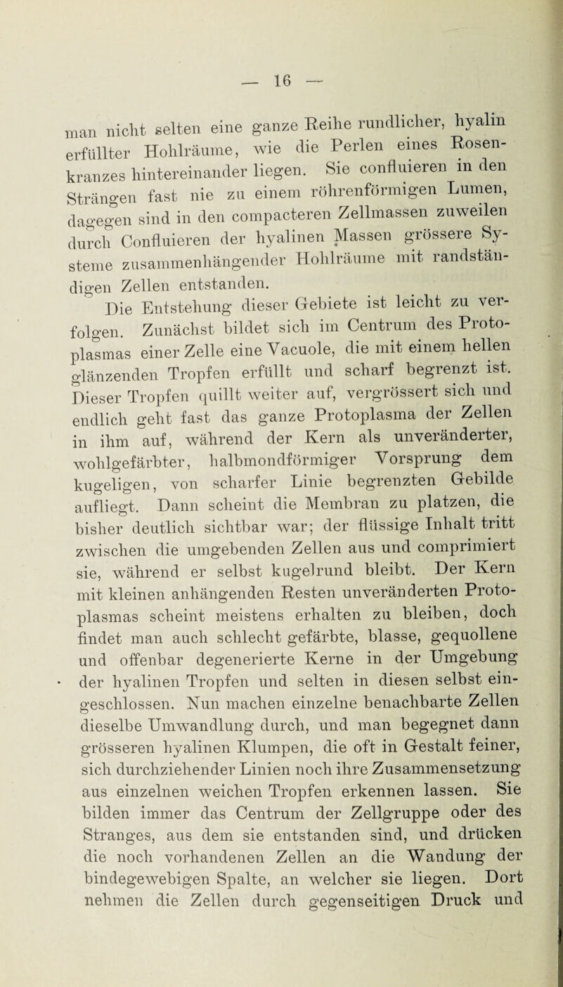 man nicht selten eine ganze Reihe rundlicher, hyalin erfüllter Hohlräume, wie die Perlen eines Rosen¬ kranzes hintereinander liegen. Sie confluieren in den Strängen fast nie zu einem röhrenförmigen Lumen, dagegen sind in den compacteren Zellmassen zuweilen durch Confluieren der hyalinen Massen grössere Sy¬ steme zusammenhängender Hohlräume mit randstän- digen Zellen entstanden. Die Entstellung dieser Gebiete ist leiclit zu ver¬ folgen. Zunächst bildet sich im Centrum des Proto¬ plasmas einer Zelle eine Yacuole, die mit einem hellen glänzenden Tropfen erfüllt und scharf begrenzt ist. Dieser Tropfen quillt weiter auf, vergrössert sich und endlich geht fast das ganze Protoplasma der Zellen in ihm auf, während der Kern als unveränderter, wohlgefärbter, halbmondförmiger Vorsprung dem kugeligen, von scharfer Linie begrenzten Gebilde aufliegt. Dann scheint die Membran zu platzen, die bisher deutlich sichtbar war; der flüssige Inhalt tritt zwischen die umgebenden Zellen aus und comprimiert sie, während er selbst kugelrund bleibt. Der Kern mit kleinen anhängenden Resten unveränderten Proto¬ plasmas scheint meistens erhalten zu bleiben, doch findet man auch schlecht gefärbte, blasse, gequollene und offenbar degenerierte Kerne in der Umgebung • der hyalinen Tropfen und selten in diesen selbst ein¬ geschlossen. Nun machen einzelne benachbarte Zellen dieselbe Umwandlung durch, und man begegnet dann grösseren hyalinen Klumpen, die oft in Gestalt feiner, sich durchziehender Linien noch ihre Zusammensetzung aus einzelnen weichen Tropfen erkennen lassen. Sie bilden immer das Centrum der Zellgruppe oder des Stranges, aus dem sie entstanden sind, und drücken die noch vorhandenen Zellen an die Wandung der bindegewebigen Spalte, an welcher sie liegen. Dort nehmen die Zellen durch gegenseitigen Druck und