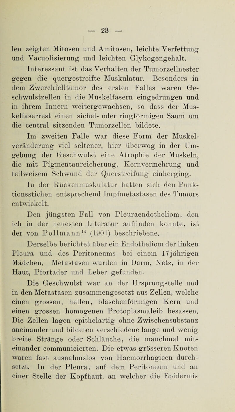 len zeigten Mitosen und Amitosen, leichte Verfettung und Vacuolisierung und leichten Glykogengehalt. Interessant ist das Verhalten der Tumorzellnester gegen die quergestreifte Muskulatur. Besonders in dem Zwerchfelltumor des ersten Falles waren Ge¬ schwulstzellen in die Muskelfasern eingedrungen und in ihrem Innern weitergewachsen, so dass der Mus¬ kelfaserrest einen sichel- oder ringförmigen Saum um die central sitzenden Tumorzellen bildete. Im zweiten Falle war diese Form der Muskel¬ veränderung viel seltener, hier überwog in der Um¬ gebung der Geschwulst eine Atrophie der Muskeln, die mit Pigmentanreicherung, Kernvermehrung und teilweisem Schwund der Querstreifung einherging. In der Rückenmuskulatur hatten sich den Punk¬ tionsstichen entsprechend Impfmetastasen des Tumors entwickelt. Den jüngsten Fall von Pleuraendotheliom, den ich in der neuesten Literatur auflinden konnte, ist der von Pollmann14 (1901) beschriebene. Derselbe berichtet über ein Endotheliom der linken Pleura und des Peritoneums bei einem 17jährigen Mädchen. Metastasen wurden in Darm, Netz, in der Haut, Pfortader und Leber gefunden. Die Geschwulst war an der Ursprungstelle und in den Metastasen zusammengesetzt aus Zellen, welche einen grossen, hellen, bläschenförmigen Kern und einen grossen homogenen Protoplasmaleib besassen. Die Zellen lagen epithelartig ohne Zwischensubstanz aneinander und bildeten verschiedene lange und wenig breite Stränge oder Schläuche, die manchmal mit¬ einander communicierten. Die etwas grösseren Knoten waren fast ausnahmslos von Haemorrhagieen durch¬ setzt. In der Pleura, auf dem Peritoneum und an einer Stelle der Kopfhaut, an welcher die Epidermis