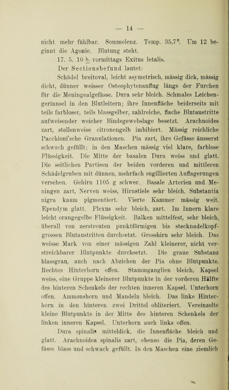 nicht mehr fühlbar. Sommolenz. Temp. 35,7°. Um 12 be¬ ginnt die Agonie. Blutung steht. 17. 5. 10 h. vormittags Exitus letalis. Der Sectionsbefund lautet: Schädel breitoval, leicht asymetrisch, mässig dick, massig dicht, dünner weisser Osteophyteilanflug längs der Furchen für die Meningealgefässe. Dura sehr bleich. Schmales Leichen¬ gerinnsel in den Blutleitern; ihre Innenfläche beiderseits mit teils farbloser, teils blassgelber, zahlreiche, flache Blutaustritte aufweisender weicher Bindegewebslage besetzt. Arachnoides zart, stellenweise citronengelb imbibiert, Mässig reichliche Pacchioni’sche Granulationen. Pia zart, ihre Gefässe äusserst schwach gefüllt; in den Maschen mässig viel klare, farblose Flüssigkeit. Die Mitte der basalen Dura weiss und glatt. Die seitlichen Partieen der beiden vorderen und mittleren Schädelgruben mit dünnen, mehrfach sugillierten Auflagerungen versehen. Gehirn 1105 g schwer. Basale Arterien und Me¬ ningen zart, Nerven weiss, Hirnstiele sehr bleich. Substantia nigra kaum pigmentiert. Vierte Kammer mässig weit. Ependym glatt. Plexus sehr bleich, zart. Im Innern klare leicht orangegelbe Flüssigkeit, Balken mittelfest, sehr bleich, überall von zerstreuten punktförmigen bis stecknadelkopf¬ grossen Blutaustritten durchsetzt. Grosshirn sehr bleich. Das weisse Mark von einer mässigen Zahl kleinerer, nicht ver¬ streichbarer Blutpunkte durchsetzt. Die graue Substanz blassgrau, auch nach Abziehen der Pia ohne Blutpunkte. Rechtes Hinterhorn offen. Stammganglien bleich. Kapsel weiss, eine Gruppe kleinerer Blutpunkte in der vorderen Hälfte des hinteren Schenkels der rechten inneren Kapsel. Unterhorn offen. Amnionshorn und Mandeln bleich. Das linke Hinter¬ horn in den hinteren zwei Drittel obliteriert. Vereinzelte kleine Blutpunkte in der Mitte des hinteren Schenkels der linken inneren Kapsel. Unterhorn auch links offen. Dura spinalis mitteldick, die Innenfläche bleich und glatt, Arachnoidea spinalis zart, ebenso die Pia, deren Ge¬ fässe blass und schwach gefüllt. In den Maschen eine ziemlich